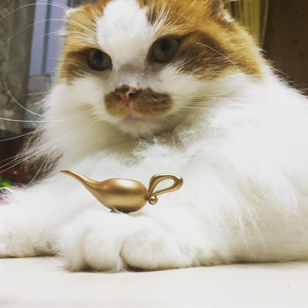 くぼたみかのインスタグラム