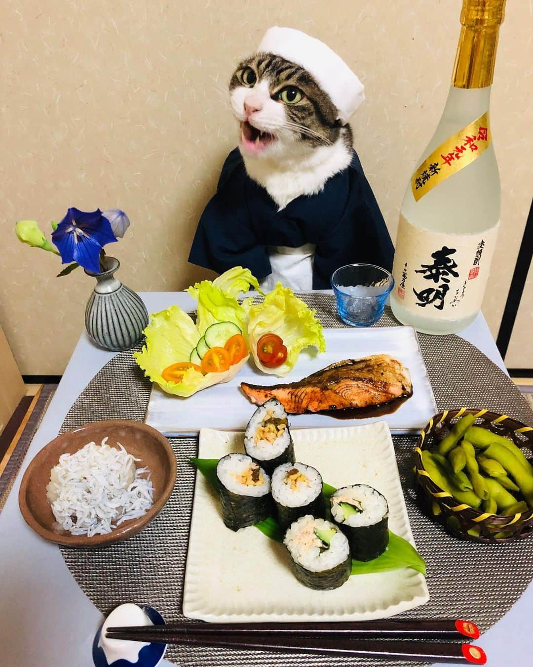 マロのインスタグラム