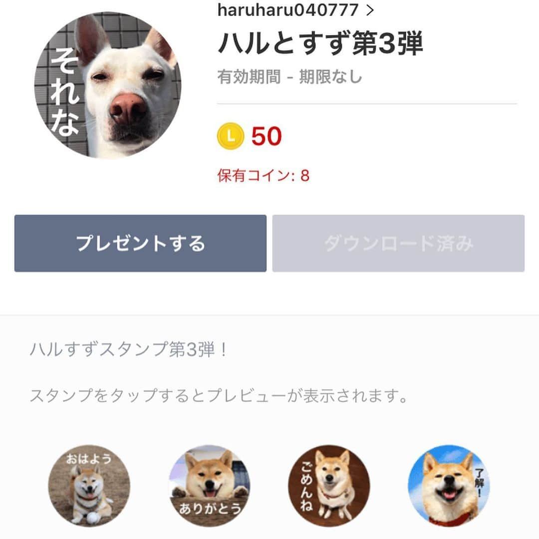 柴犬ハル&保護犬すずさんのインスタグラム写真 - (柴犬ハル&保護犬すずInstagram)「🥰📱 . 「おねーちゃーーん！ ハルとすずのスタンプ第3弾が 発売開始になったってー！📱」 . #おまたせいたした #第3弾でございます #可愛がってやってください #プロフィール欄にurlありんす . https://line.me/S/sticker/8253551 .  #柴犬#柴#kagoshima#dog#puppy#shibainu#shibastagram#いぬバカ部#family#鹿児島#赤柴#雑種#天文館#日本犬#保護犬を家族に#保護犬#元保護犬#LINEスタンプ」7月10日 21時27分 - haruharu040777