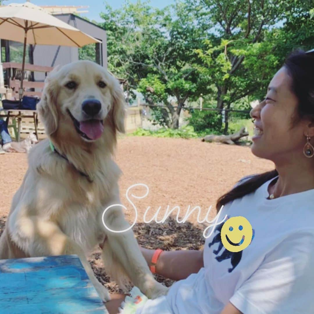 大村 奈央さんのインスタグラム写真 - (大村 奈央Instagram)「Bell & Sunny 晴れの日のお散歩🐶🐶☀️ 2枚目のパールのピアスは @jepun.kamakura 💍  #goldenretriever #dog #ゴールデンレトリバー #犬 #ベルサニ」7月10日 21時35分 - naoomura