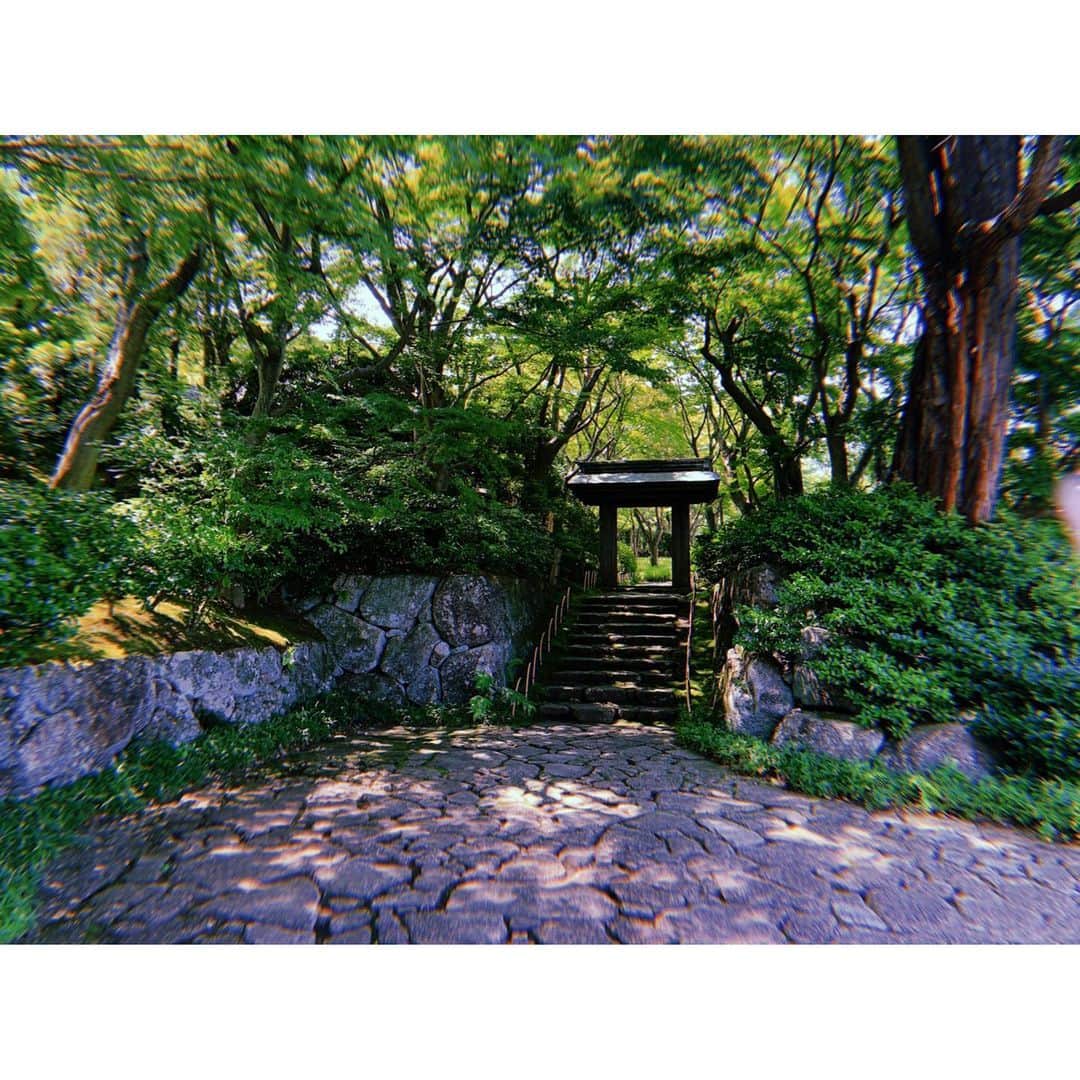 森咲樹のグルメインスタ