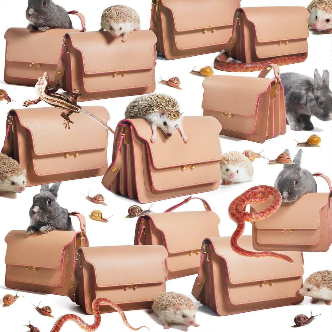 マルニさんのインスタグラム写真 - (マルニInstagram)「Through a surrealist ecosystem populated by curious animals, American artist Charlie Engman @charlieengman captures the beauty of the signature #MarniTrunk bag. #MarniInterzone」7月10日 22時00分 - marni