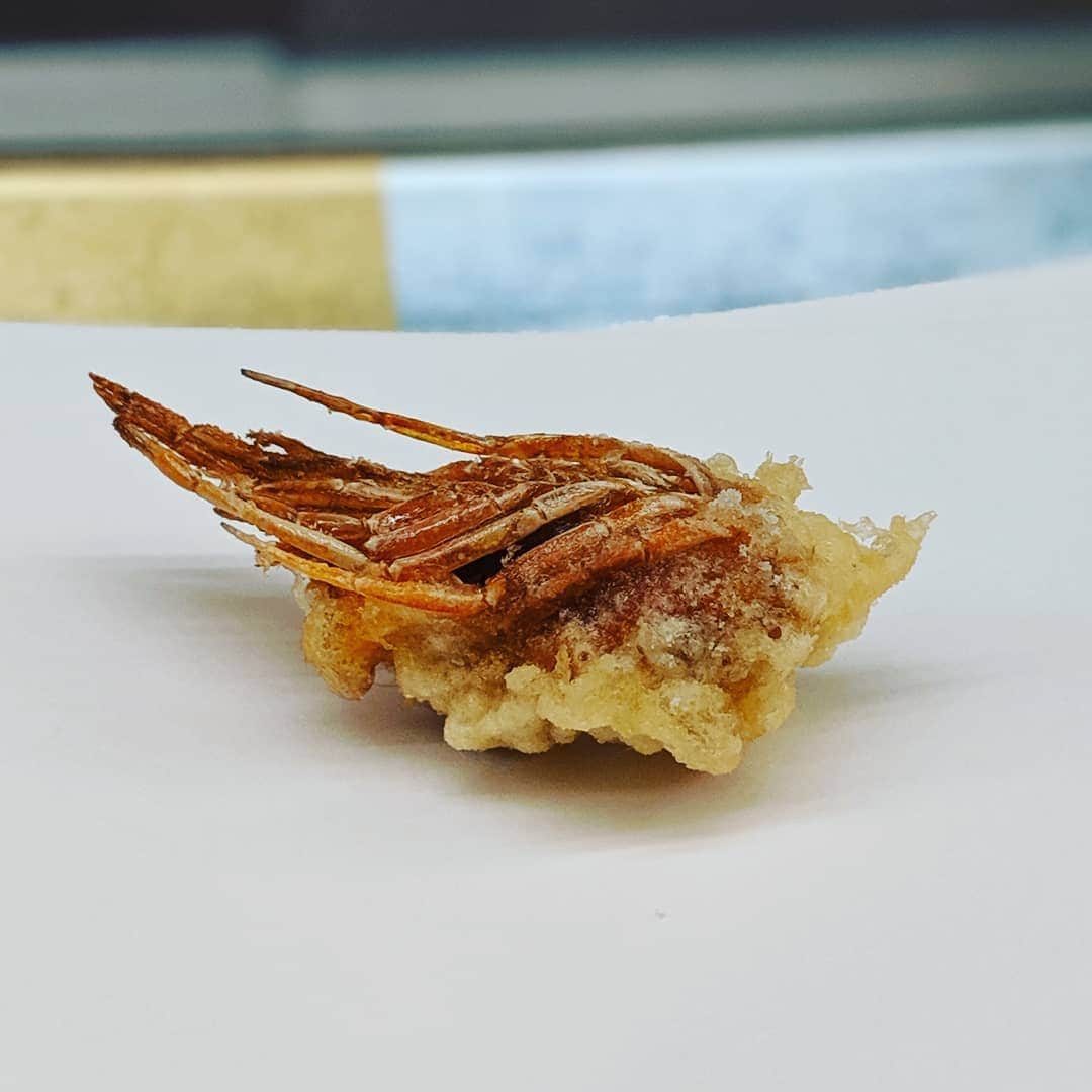 Masayasu Moritaのインスタグラム：「#海老 #頭 #shrimp #head #天ぷら #tempura #市原辰也 #四ツ谷グルメ #tokyo #東京 #もりたま飯 #foodie #foodgasm #foodphotography #foodstagram #美食 #delicious #tasty #instafood #グルメ #food #yummy #foodporn #デリスタグラマー #グルメな人と繋がりたい #天ぷら好きな人と繋がりたい」