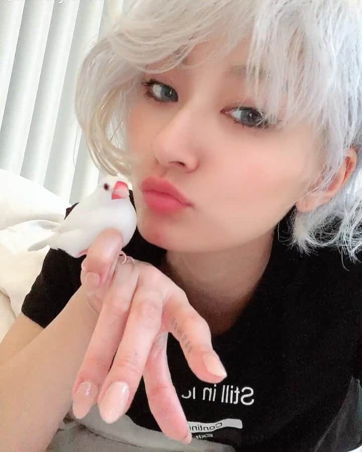 のインスタグラム：「最近似てきてると噂のおもちさんです @omochisangram 👶🏻🌹 #どっちがどっちに似てきてるの？ 笑 #おもちさんをくんすかぴーしてるときが幸せ #文鳥はじゃがりこの匂い」