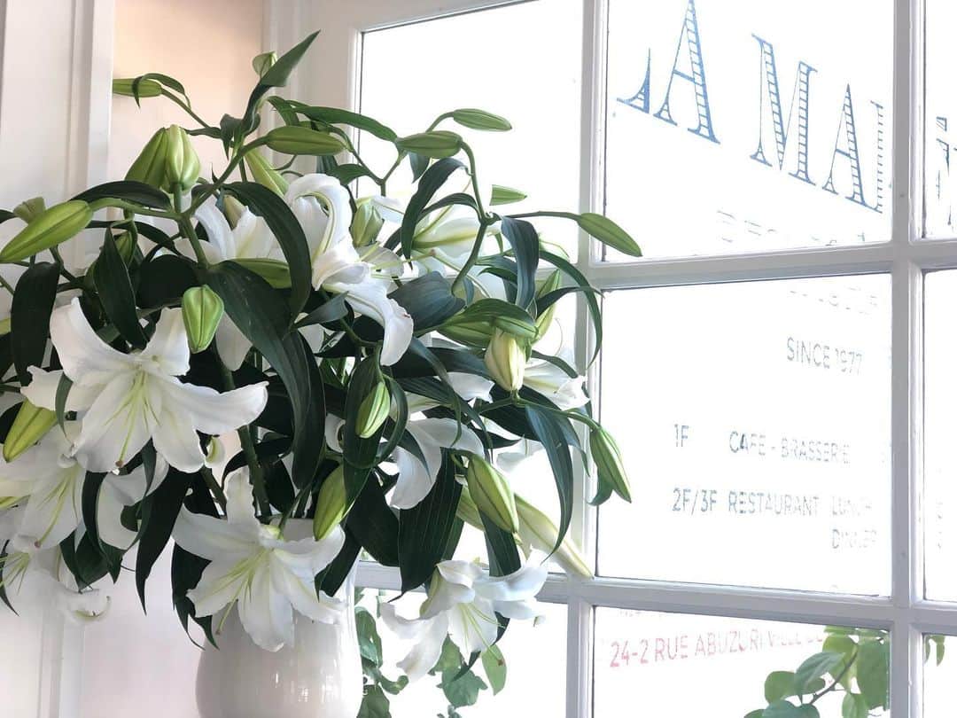 長谷川朋美のグルメインスタ