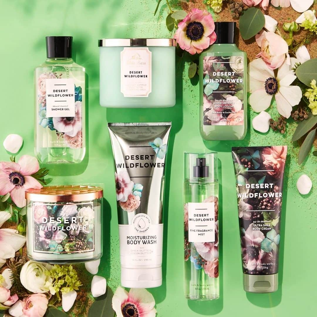 Bath & Body Worksさんのインスタグラム写真 - (Bath & Body WorksInstagram)「🌸 🌵 NEW 🌵 🌸 Desert Wildflower is lush blend of Wildflowers, Jasmine & Creamy Sandalwood. Leave a 💚 if you're on the hunt for a NEW fragrance & adding this to your must-try list!」7月11日 0時01分 - bathandbodyworks