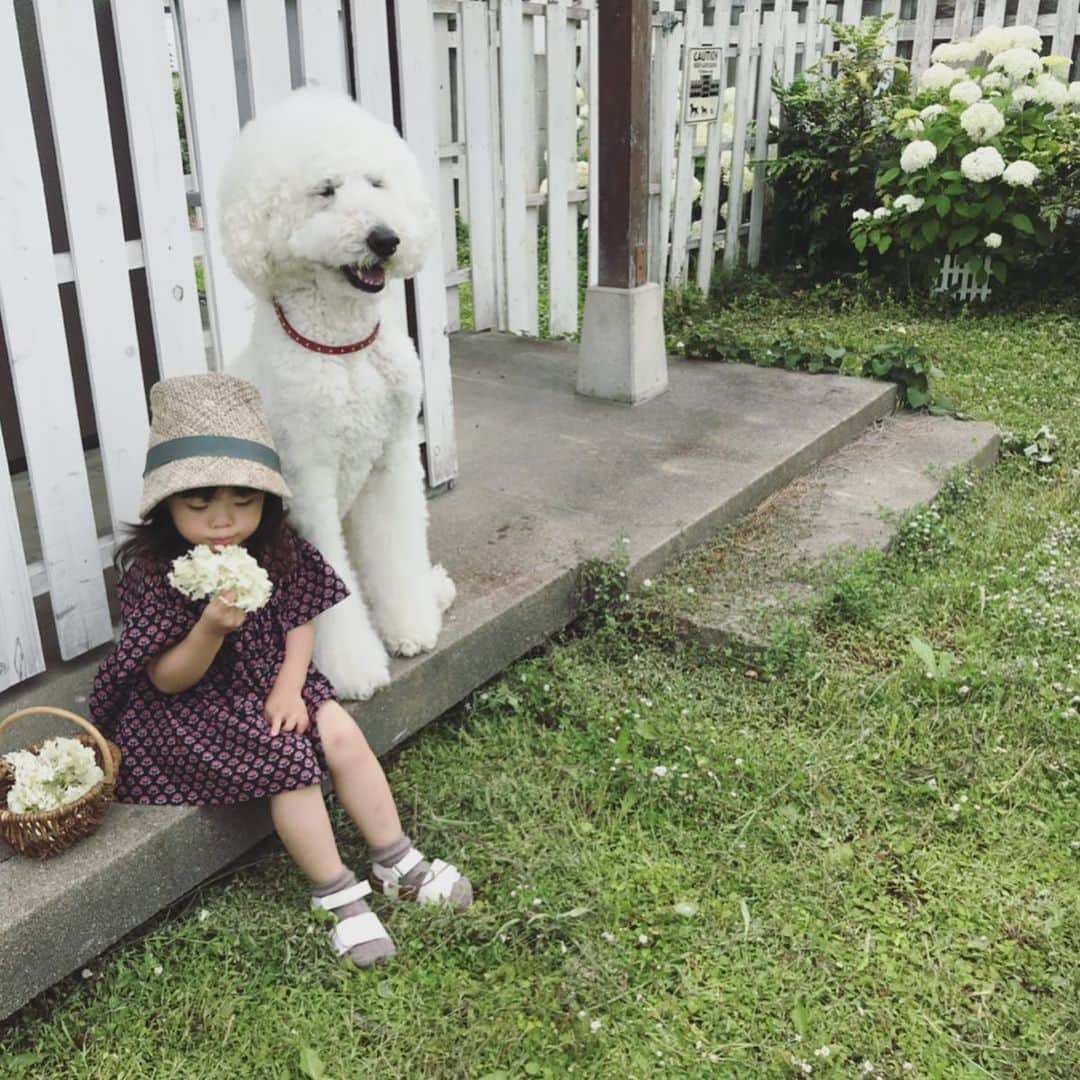 たまねぎのインスタグラム