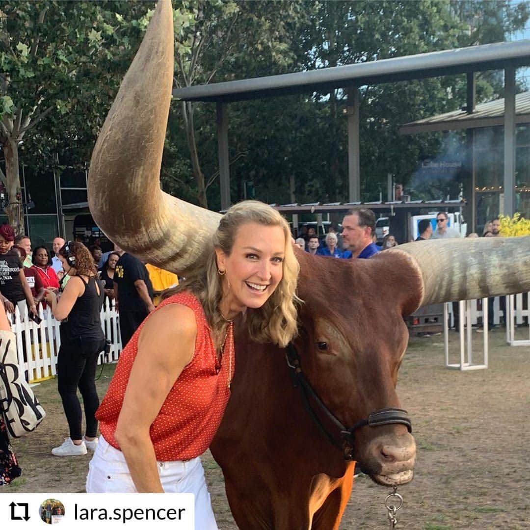 Good Morning Americaさんのインスタグラム写真 - (Good Morning AmericaInstagram)「@lara.spencer’s making friends in Houston! 😂🐃 #GMARoadTrip」7月11日 0時05分 - goodmorningamerica