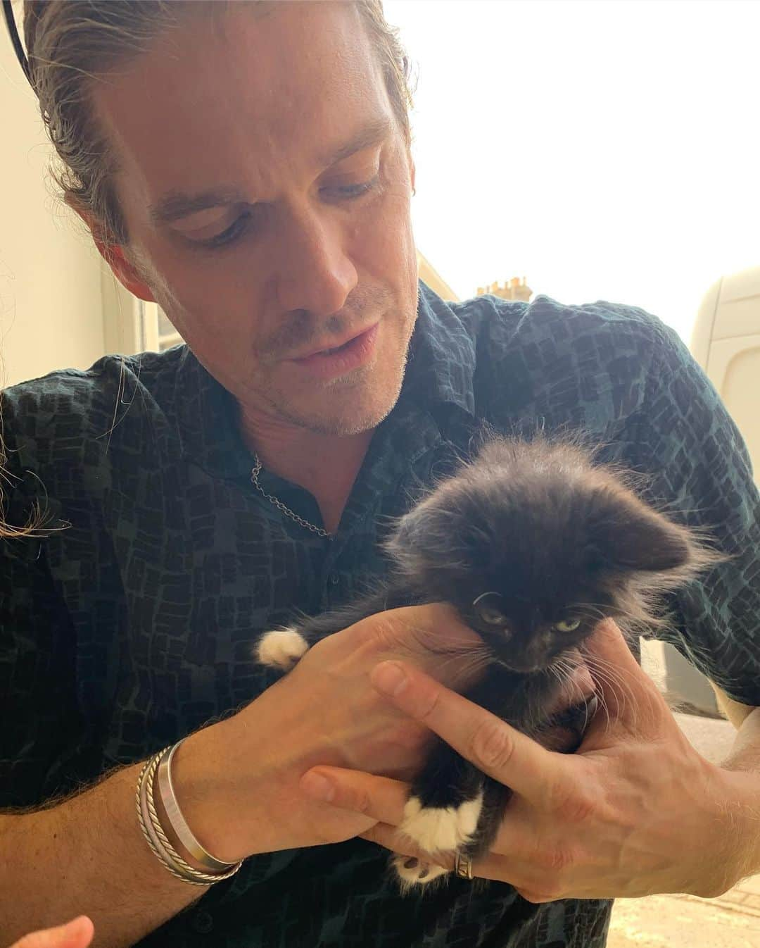 ファーン・コットンさんのインスタグラム写真 - (ファーン・コットンInstagram)「It’s love. Today we met the cutest kittens at our local vets today. Those ears!!!!!!! ❤️」7月11日 0時33分 - fearnecotton