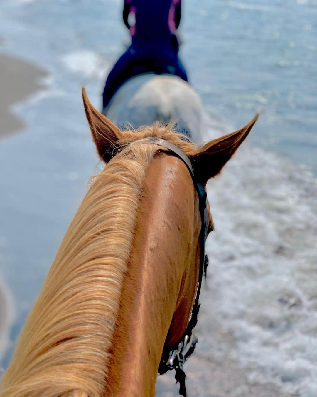 吉村優さんのインスタグラム写真 - (吉村優Instagram)「癒し🥺🖤 * #horse #horseriding #sea #beach #horsetherapy  #馬 #乗馬 #外乗  #海 #海岸 #ホースセラピー #現実逃避」7月11日 0時45分 - yuyoshimura87