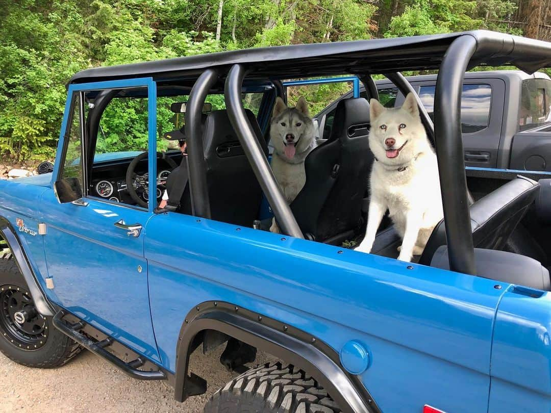 ケン・ブロックさんのインスタグラム写真 - (ケン・ブロックInstagram)「The old saying is “happy wife, happy life.” And my Wifey’s Ford Bronco definitely makes her happy! It also makes Bentley and Yuki (our dogs, pictured in the back of said Bronco) happy. Win-win. #WifeyBronco #BentleyChickenFingersBlock #YukiTheDestroyer」7月11日 1時04分 - kblock43