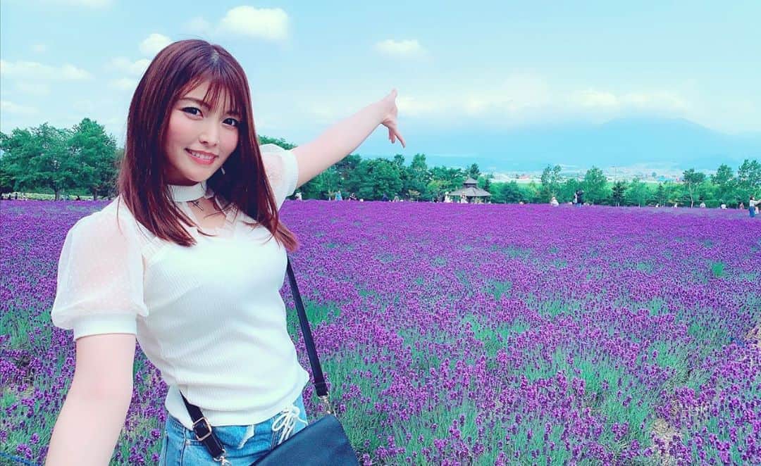 新村あかりのインスタグラム：「ラベンダー畑❤︎ #富良野」