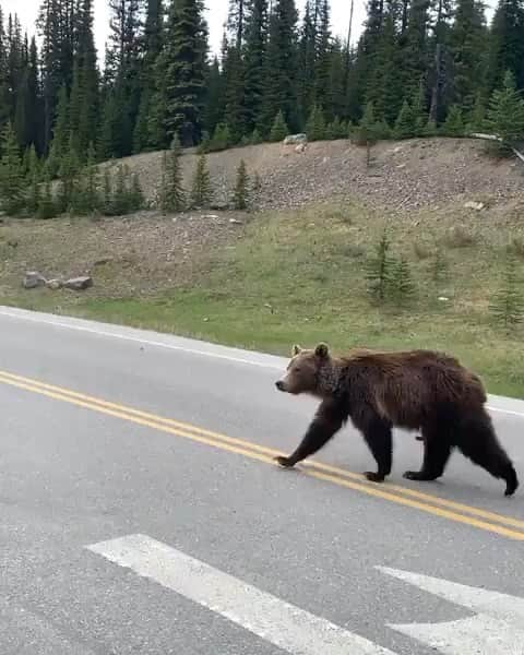 Explore Canadaのインスタグラム