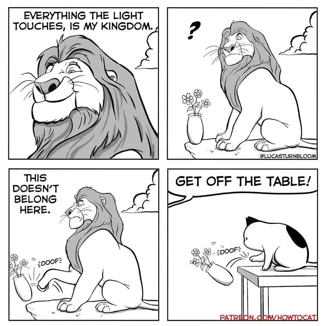 Aww Clubさんのインスタグラム写真 - (Aww ClubInstagram)「That makes a lot of sense 😅⠀ ⠀ ✍🏼@lucasturnbloom⠀ ⠀ #meowed #doodles #9gagmeowdle #lucasturnbloom #catcomic #meowedcomic #lionking #simba #Mufasa」7月11日 2時00分 - meowed