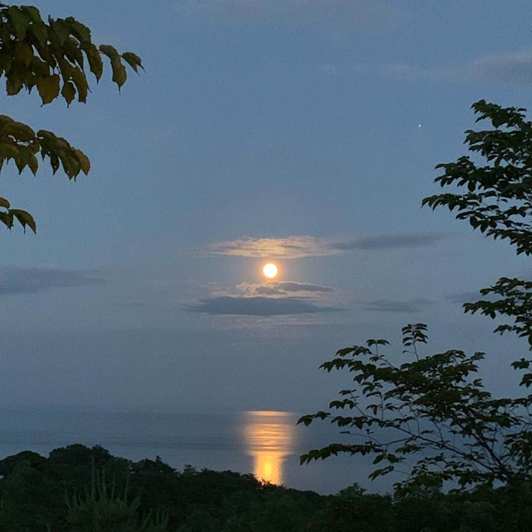 亜里沙さんのインスタグラム写真 - (亜里沙Instagram)「This is the most beautiful moon I've ever seen!🌕💙 #nofilter  今までの人生で観た月の中で、間違いなく1番美しい月。 月明かりで海に月の道が出来ていて、違う世界から誰かがこちらに渡ってきそうなそんな雰囲気。。。あそこを船で渡りたい🚢 こんな美しい景色を熱海で見られるなんて思ってなくて本当に感動しました🥺 #ゆとりろグランピングガーデン熱海伊豆山 #ゆとりろ熱海 #グランピング  #隈研吾 #熱海 #静岡 #キャンプ  #glamorous #camp #glamping #moon」7月11日 2時29分 - alisa_0302