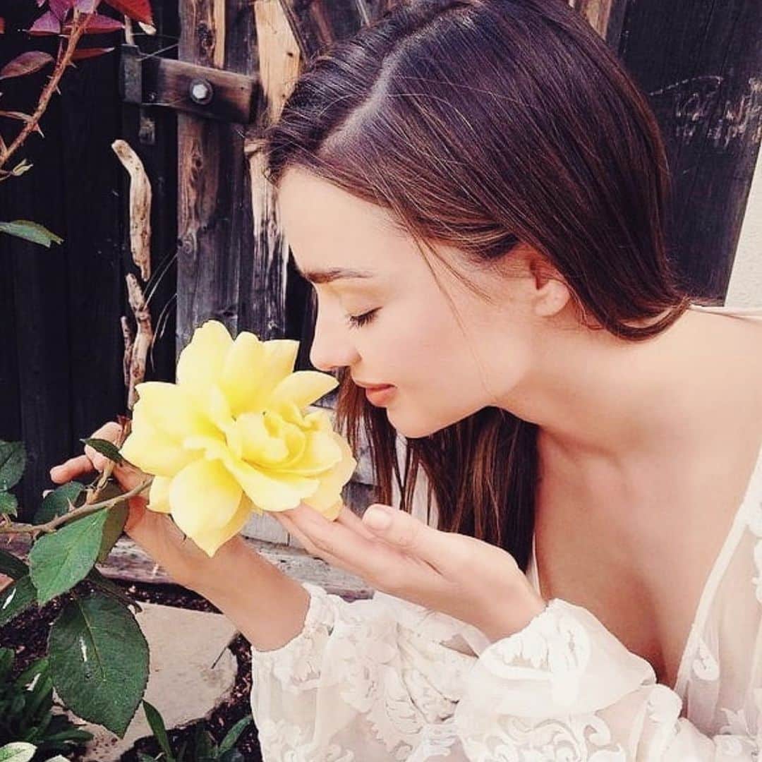 ミランダ・カーさんのインスタグラム写真 - (ミランダ・カーInstagram)「If only you could smell this rose 💛🌈🥰」7月11日 2時35分 - mirandakerr