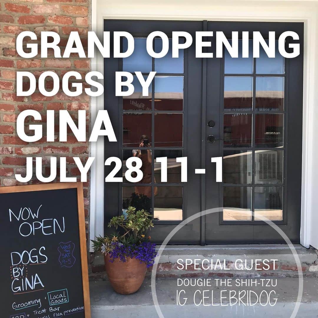 Dogs by Ginaのインスタグラム：「Hope you can make it! 🐾🖤」