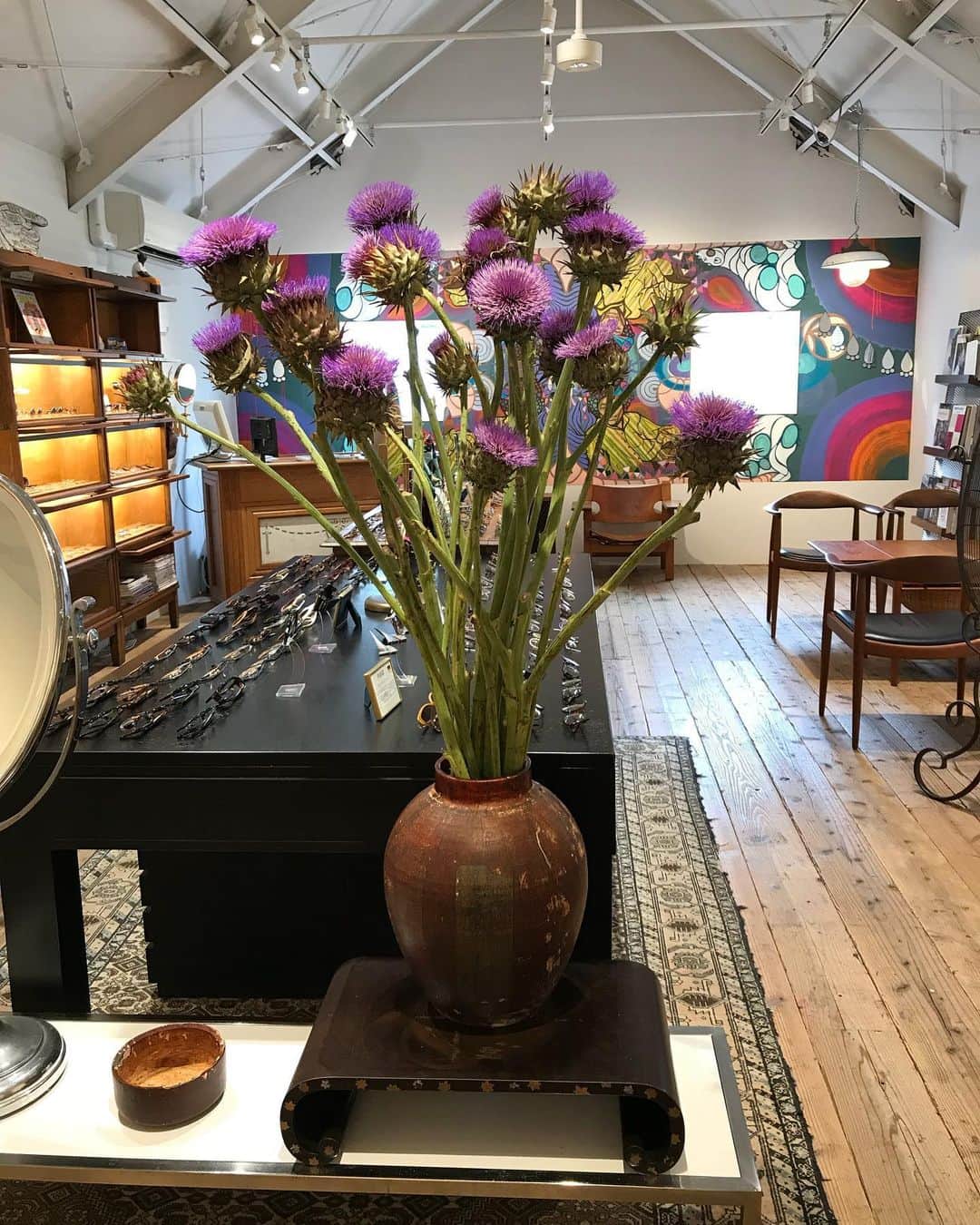 GLOBE SPECS_officialさんのインスタグラム写真 - (GLOBE SPECS_officialInstagram)「代官山の植栽が入れ替わりました。代官山店へお越しの際はどうぞご覧ください。  #globespecsdaikanyama  @globespecs_official  #植栽 #アーティチョーク  #botanical #green @chibi.flower」7月11日 13時29分 - globespecs_official