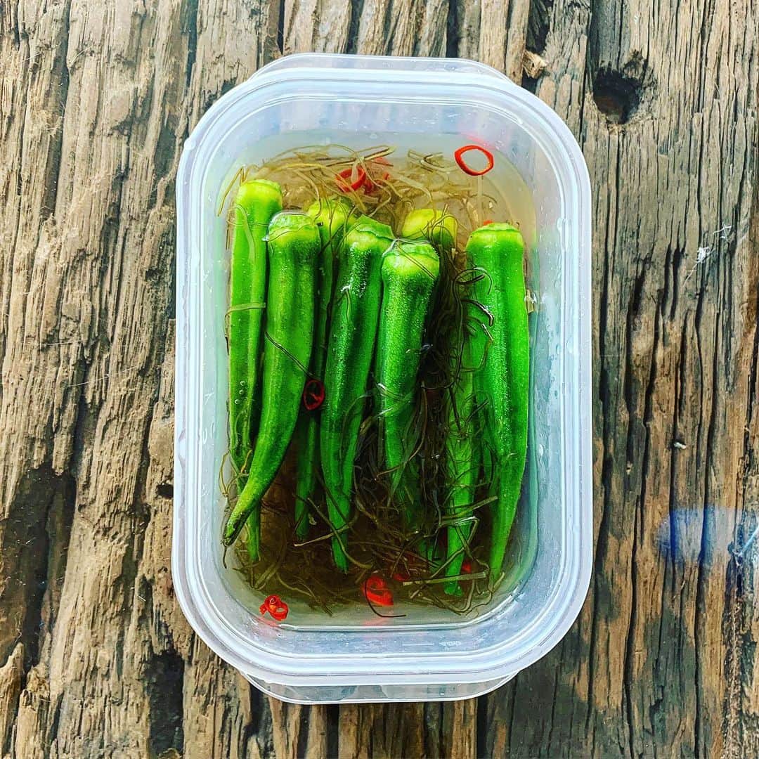 多嶋沙弥のインスタグラム