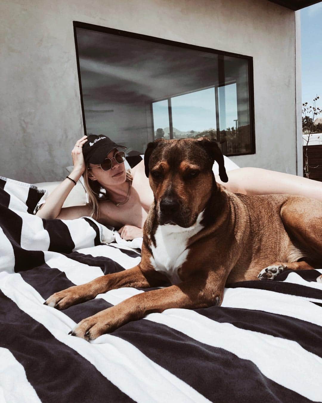 フィービー・ダールのインスタグラム：「Meet the luckiest dog in the world! He was found on the side of a highway in Mexico 3 years ago and had been a stray his whole life and was extremely malnourished. Someone had hit him with a car and left him alone to die, with a broken, jaw, hip and soul...but he had a will to love! @tatdeleon scooped him up and he has never looked back! He’s the sweetest and most loyal dog in the world living his best life with a couple of naked girls in Joshua Tree 🌵All he needed was for someone to give him a chance!  #adoptdontshop」