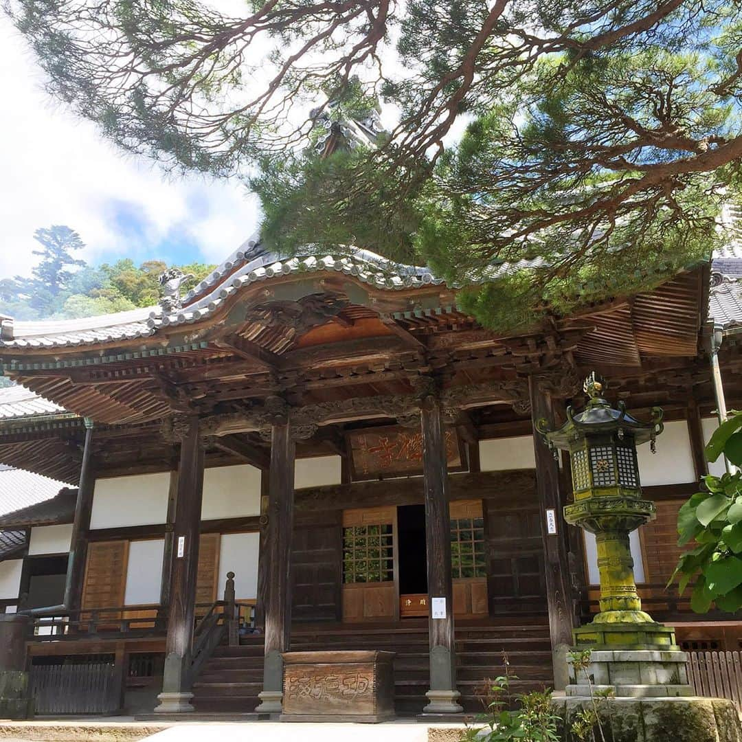 坂東亀三郎さんのインスタグラム写真 - (坂東亀三郎Instagram)「ねぇねぇ、 町名 : 修善寺 寺名 : 修禅寺 って知ってた？  手水鉢の所に鎮座まします龍の口から流れ出るのは、なんと温泉！飲める手水でした！  #御朱印 #御朱印帳 #彦印帳 #修禅寺 #歌舞伎 #音羽屋 #歌舞伎役者 #彦三郎 #坂東彦三郎 #九代目 #歌舞伎部 #otowayabando #彦さんぽ コメントはお気軽に📝 ランダムに返信しまっせ✍️」7月11日 6時59分 - otowayabando