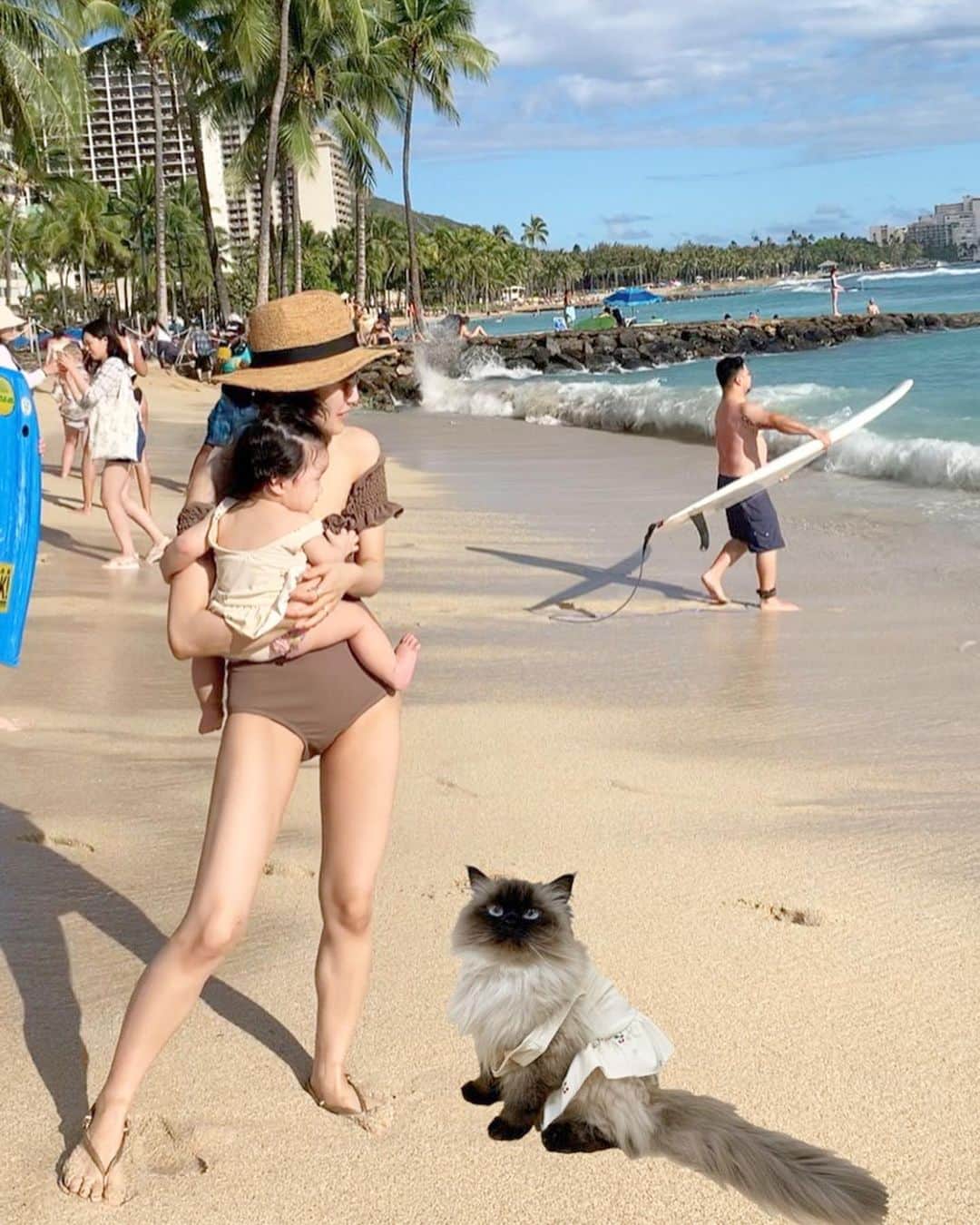 のインスタグラム：「Aloha🤙あっという間のsummer vacation🌺🏝 毎年恒例のhawaii🌴今年は初めての子連れで大変だったけど、また違った楽しみ方ができた🌞  プリュムも一緒に行けたらなぁ…ってつい妄想しちゃうよ🤤💭👨‍👩‍👧‍👧👙🌴🌺🐚 . . . . なんか2枚目の合成写真ほんまっぽく見えへん🙊📸⁉️ww . . . .  #プリュムのいる生活 #猫のいる暮らし  #ヒマラヤン  #赤ちゃんと猫  #ふわもこ部  #ヒマラニャンズ  #猫  #ねこ  #水着 #ビキニ  #ハワイ旅行  #子連れハワイ #hawaii #waikiki #waikikibeach #hawaiitravel #🐈 #고양이  #kucing  #Кот #ilovecats  #sealpoint  #himalayancat  #catsofinstagram #catloversclub  #bestmeow  #bestcats_oftheworld  #weeklyfluff  #bestanimal #cutepetclub」