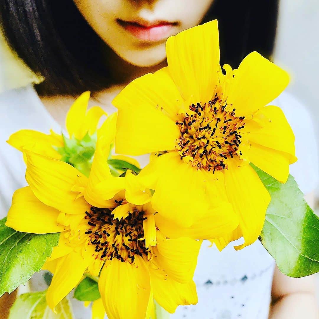 前野えまさんのインスタグラム写真 - (前野えまInstagram)「「ゴッホのひまわり」という品種のひまわりです🌻 テラスが一気に明るくなりました✨  #ゴッホのひまわり  #ガーデニング  #夏の花  #ゴッホ #ひまわり  #前野えま」7月11日 7時11分 - maeno_ema