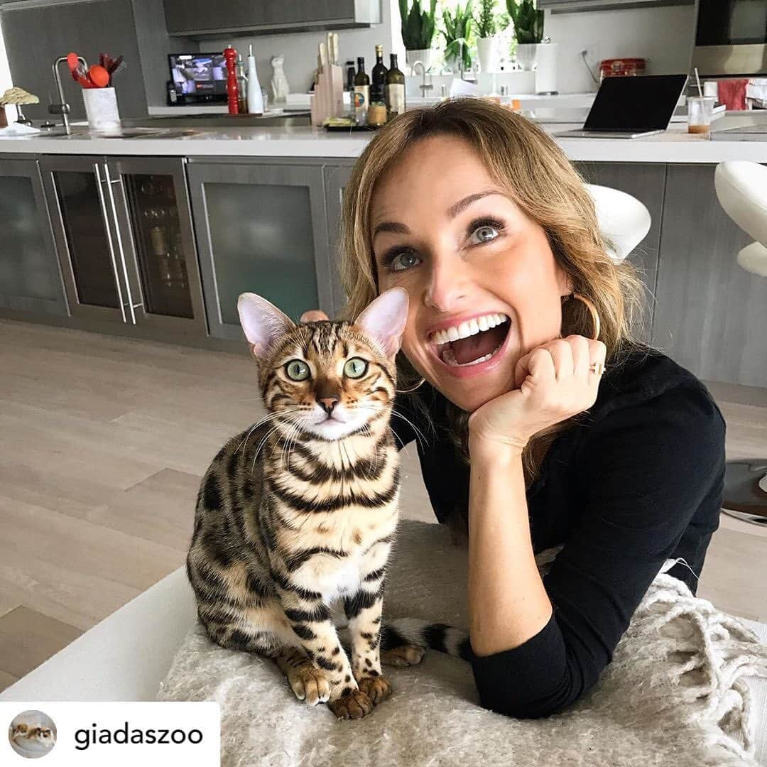 ジャーダ・デ・ラウレンティスさんのインスタグラム写真 - (ジャーダ・デ・ラウレンティスInstagram)「Happy #nationalkittenday from me & @giadaszoo! 🐈 Posted @withrepost • @giadaszoo It’s #nationalkittenday and clearly one of us is VERY excited about it 🐾」7月11日 7時19分 - giadadelaurentiis