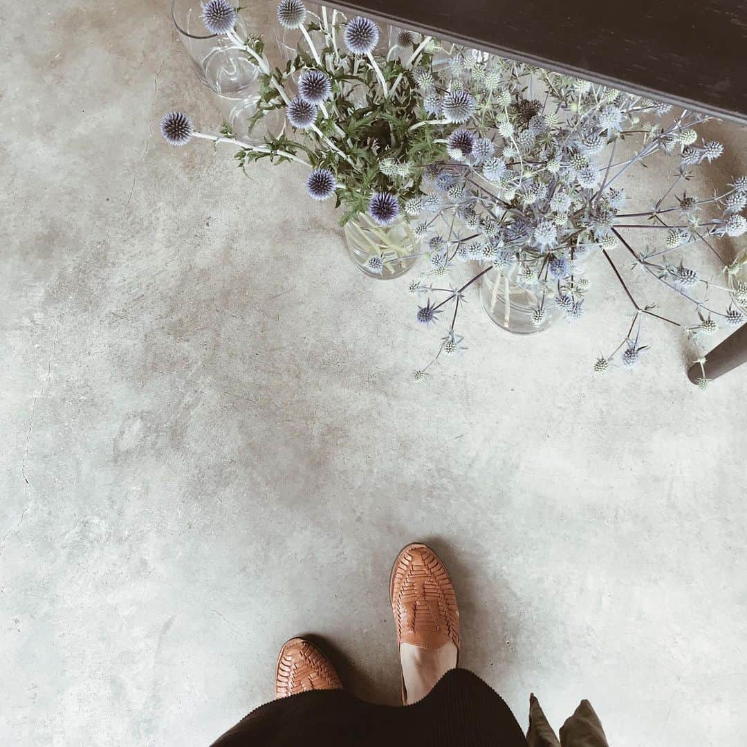 のインスタグラム：「先日久しぶりにお花を買いました❁ 夏はなかなか長持ちしないけど、日常にお花がある感じ、やっぱりいいな。 また少し旅に出るので、今はドライへと変化させているところ◎」