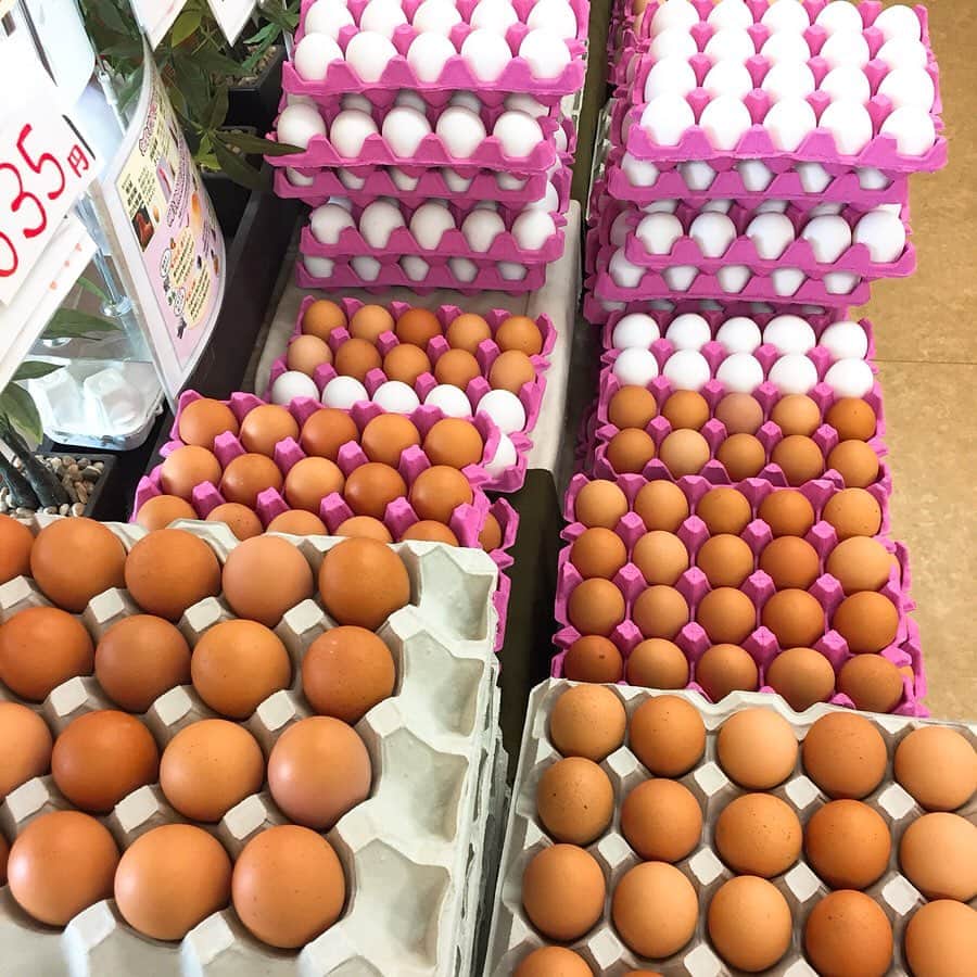大手小町さんのインスタグラム写真 - (大手小町Instagram)「卵の直売？！ 1シート？販売なので、さすがにもって帰れないし、諦めて、煮卵を買って帰りました。詰め放題もありました。秋田の思い出。  #otekomachi #大手小町 #たまごの樹 #ひとり旅 #ひとり旅女子」7月11日 9時05分 - otekomachi