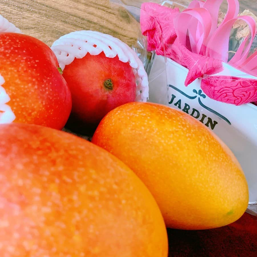 琴菜さんのインスタグラム写真 - (琴菜Instagram)「宮古島のマンゴー🥭🧡🧡 実家の母から送られてきた🥭🧡去年ぶりに食べるマンゴーは、食べだしたら止まらない💦甘くて美味しいくてみずみずしいよ💕  そして、これまた昨日主人が買ってきてくれた東京えんとつのプリン🍮💕 昨日で前半戦が終わったので、「無事、前半戦が終わったからありがとう」って買ってきてくれた。この上半期、たくさんいろんなことあったもんね。手術から始まりたくさん色んなこと乗り越えてきたもんね！！こちらこそありがとうだよ😊後半戦に向けてまたエネルギーチャージしましょうね⚾️⚾️ いつも応援してくれる皆さんもありがとうございます❣️ #宮古島マンゴー #宮古島 #マンゴー #夏スイーツ #夏味 #東京えんとつ #プリン #プロ野球 #前半戦終了」7月11日 9時13分 - dj_singer_kotona