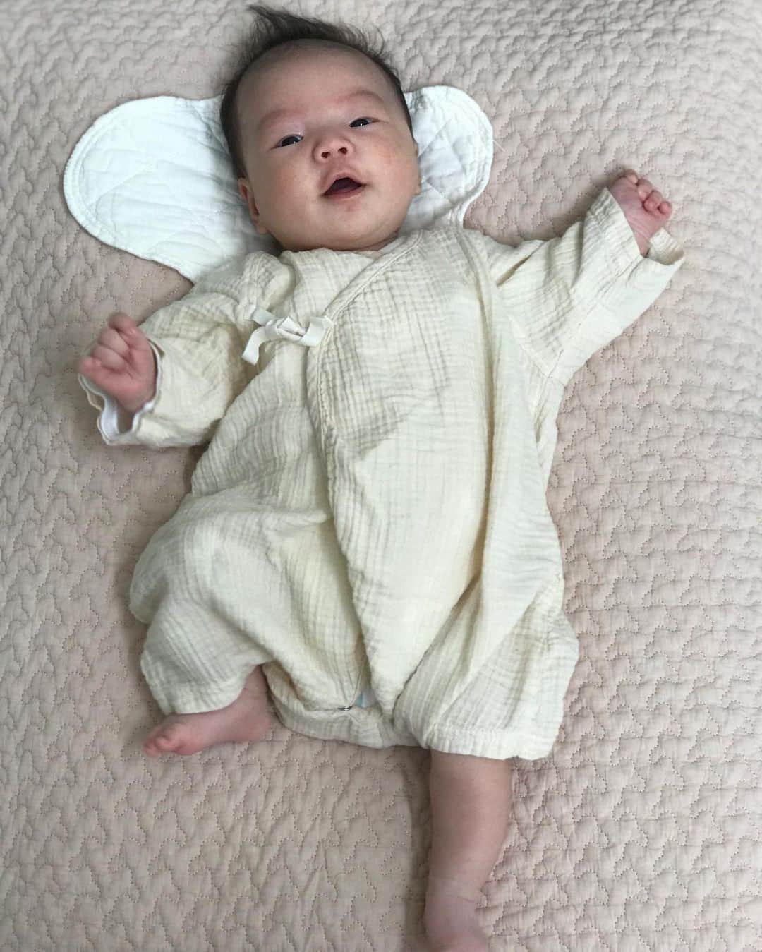 濱中鮎子のインスタグラム：「さぁ、今日も頑張りましょう！  #お嬢 #今日もすごいジタバタ運動してます」