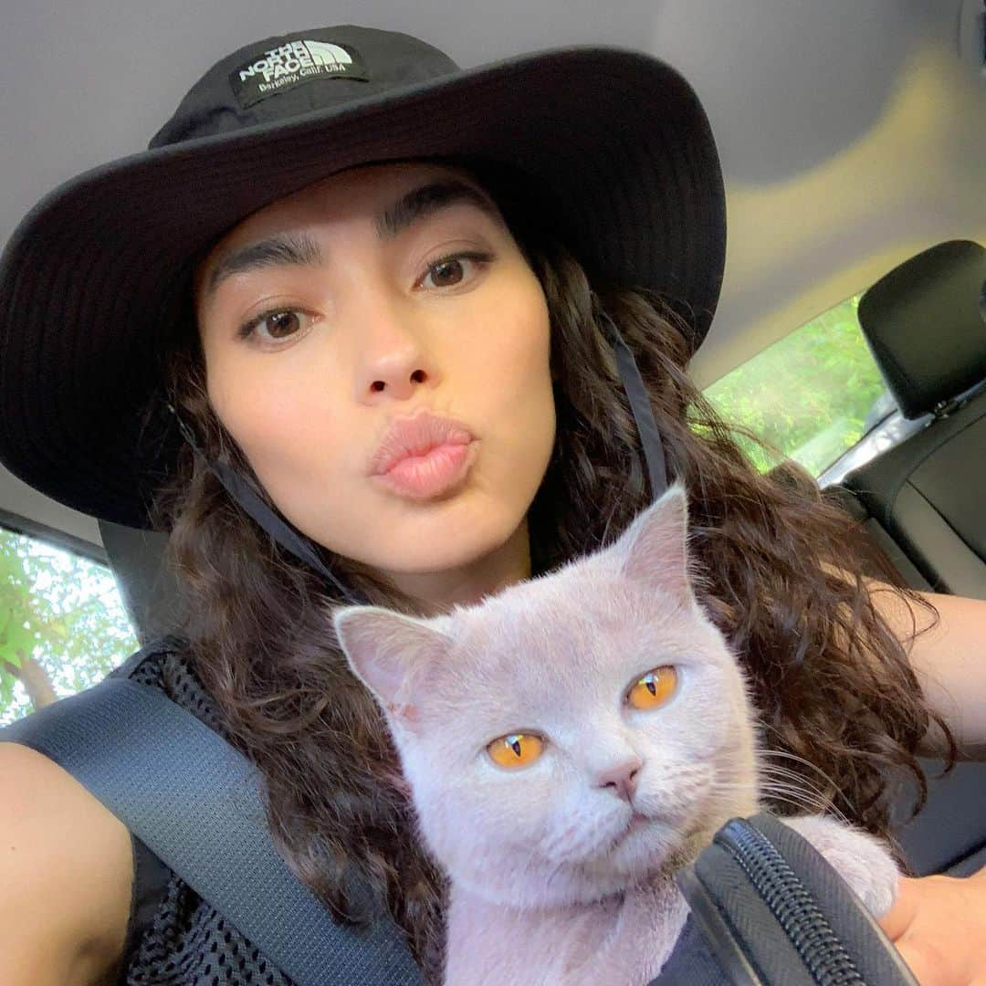 エイドリアン・ホーさんのインスタグラム写真 - (エイドリアン・ホーInstagram)「Road trip with bae @sadethecat! Where should we go? 🐱💜🚙」7月11日 12時11分 - adrianneho