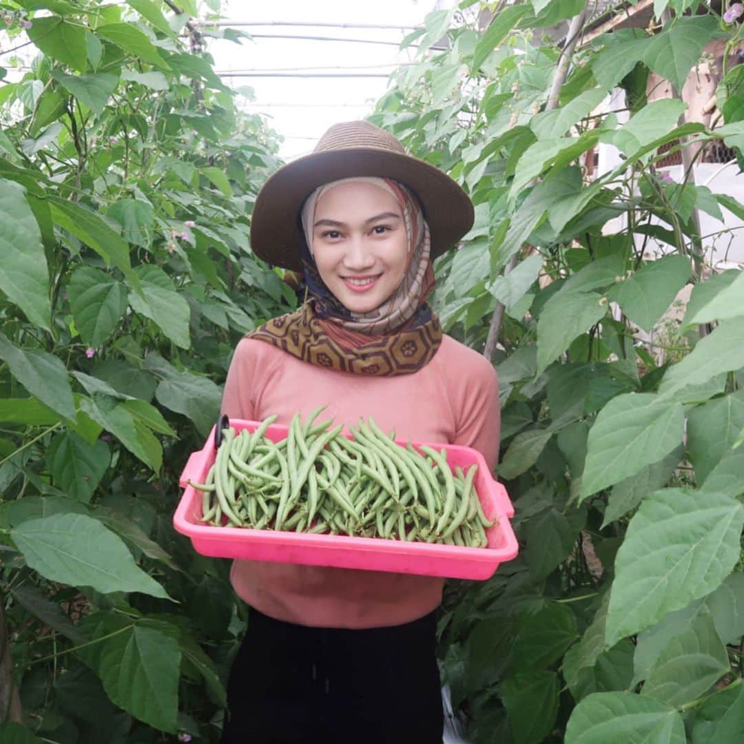 メロディー・ヌランダニ・ラクサニさんのインスタグラム写真 - (メロディー・ヌランダニ・ラクサニInstagram)「YAY, we’re harvesting beans! Buncis💚 Who likes beans? Me too!! I usually cook ‘Tumis Buncis Daging Sapi’ for my husband💕 At the day it’s harvested, the farmers put on a very generous price of 10K IDR for every one kilogram of beans. That's a very good deal, isn't it?🤩 #japan #asean #goodwill #ambassador #food #agriculture #buncis」7月11日 12時28分 - melodylaksani92