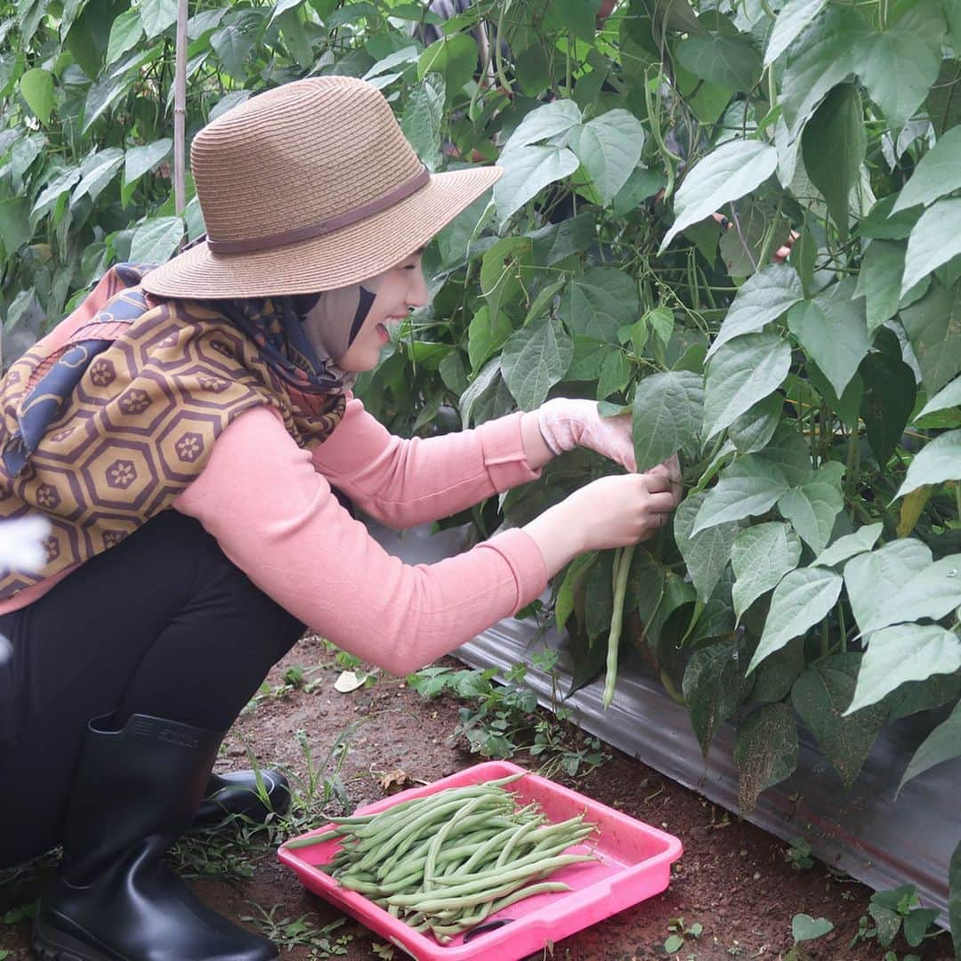 メロディー・ヌランダニ・ラクサニさんのインスタグラム写真 - (メロディー・ヌランダニ・ラクサニInstagram)「YAY, we’re harvesting beans! Buncis💚 Who likes beans? Me too!! I usually cook ‘Tumis Buncis Daging Sapi’ for my husband💕 At the day it’s harvested, the farmers put on a very generous price of 10K IDR for every one kilogram of beans. That's a very good deal, isn't it?🤩 #japan #asean #goodwill #ambassador #food #agriculture #buncis」7月11日 12時28分 - melodylaksani92