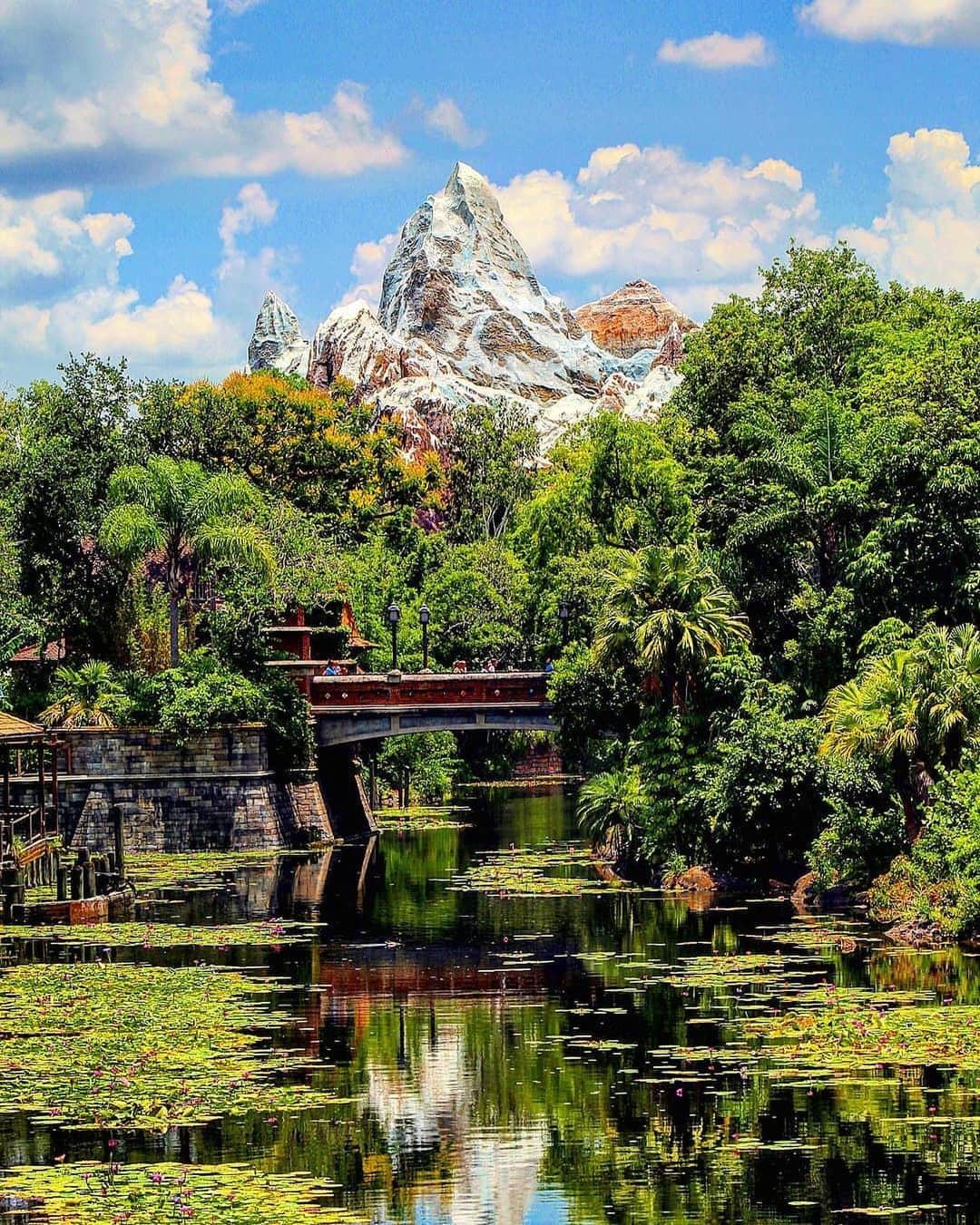 Walt Disney Worldのインスタグラム：「Adventure is out there! 🌱⛰️ #WaltDisneyWorld #DisneysAnimalKingdom #Everest (📷: @brentdodge)」