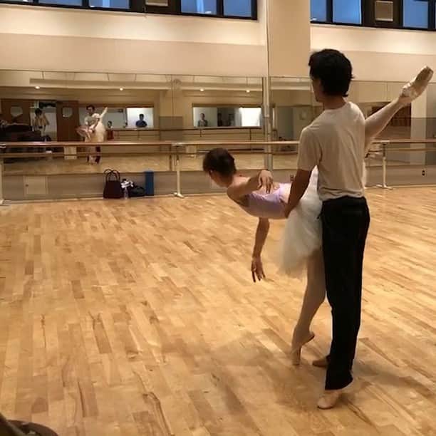 中村祥子のインスタグラム：「白鳥…とても久しぶりに踊ります。やはり、難しく奥深い…。 最後まで追求し続けなければいけないな。夏はイベント盛りだくさんですね‼️ 様々な舞台を観て、たくさんの刺激や魅力を感じて頂きたいです✨✨ 7/30&7/31 「青島広志のバレエ音楽ってステキ」bunkamuraオーチャードホール  7/27 「youth spirit of dance」大阪コスモスシアター 8/1 &8/2 東京かめありリリオホール @wieslaw_dudek プロジェクト  最後の動画は、リハーサル感がありますよね😊 私は一瞬素に戻ってしまっていますが、遅沢さん @osozawa_ballet_studio はしっかり役にはいりきっている？？😆👍 @caroline1977827 さんの美白ローション&ホワイトシルキーマスク💛 肌の調子がよくなるのがすごく分かる‼️嬉しい💛  こだわりぬいた素敵なレオタードたちを日々楽しんで着用させて頂いています🙇‼️ 特に背中のカットが私好み😻 @sayurikubota @unoa08  #kバレエ #shokonakamura」
