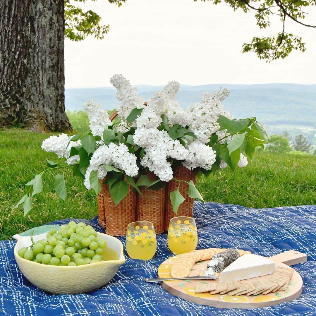 マーサ・スチュワートさんのインスタグラム写真 - (マーサ・スチュワートInstagram)「Who's feeling inspired to take lunch outside? Jamie of @bluestonehill set up a beautiful picnic spread in her backyard with a little help from Martha. Her citrus-themed serveware collection created for @macys features coordinated seasonal motifs and durable, outdoor-friendly materials like wood and melamine. Visit the link in bio to shop everything you need to host a Martha-inspired picnic this summer.」7月11日 23時50分 - marthastewart