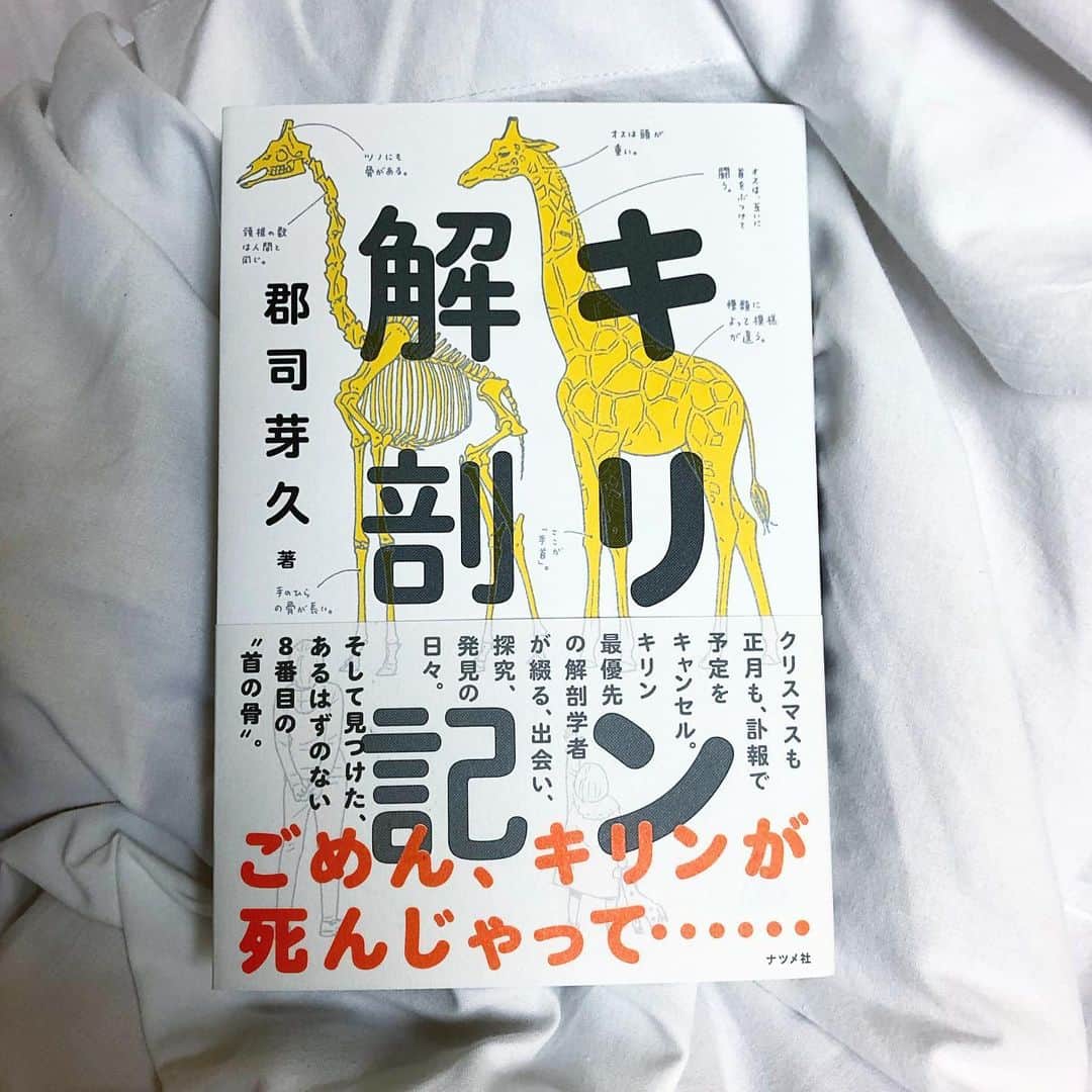 服部円のインスタグラム：「いやー面白かった🦒 #キリン解剖記 #キリン #giraffe #服部読書」