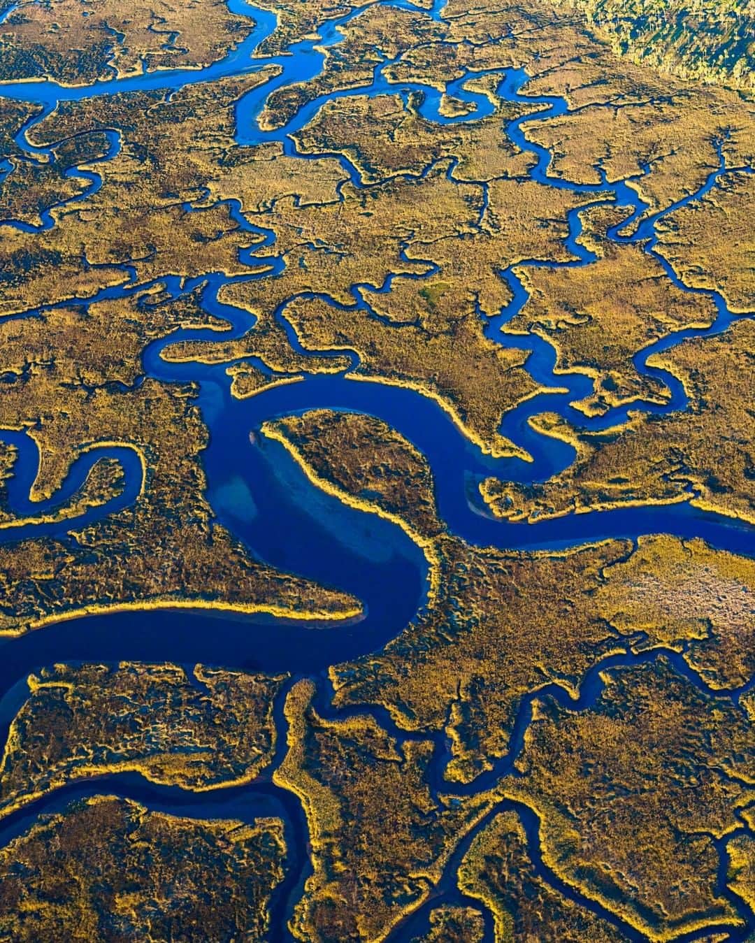 National Geographic Travelさんのインスタグラム写真 - (National Geographic TravelInstagram)「Photo by Carlton Ward Jr @carltonward | I am in love with Florida’s coast on the Gulf of Mexico and am continually mesmerized by the patterns of its estuaries when seen from above. This is the mouth of the Suwannee River, photographed during a helicopter flight in January. The Suwannee serves as a 240-mile-long (386 km) wildlife corridor connecting Okefenokee National Wildlife Refuge at its headwaters in Georgia to Lower Suwannee National Wildlife Refuge on Florida's Gulf coast near Cedar Key. Because the Suwanee watershed remains relatively natural, clean water in the estuary supports one of America's most important sources of aquaculture for oysters and clams.  #gulfofmexico #suwannee」7月11日 16時00分 - natgeotravel