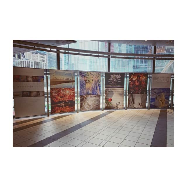 紗々さんのインスタグラム写真 - (紗々Instagram)「明日から渋谷ヒカリエ9FホールAで開催される #東京カメラ部2019写真展 で、私紗々がデザインプロデュースさせていただいたフォトブースの下見に行ってきました(*'ω'*)✨ * いろんな撮り方が出来ると思いますので、ぜひたくさん撮影してハッシュタグ #東京カメラ部写真展 #東京カメラ部2019写真展 をつけて投稿してくださいね📷🌸 * 7/15(月・祝)まで。入場無料。 * #渋谷ヒカリエ #9F #ホールA #東京カメラ部 #写真展 #フォトブース #hikarie #shibuya #tokyocameraculb #photoexhibition #photobooth」7月11日 16時07分 - 03sasa03
