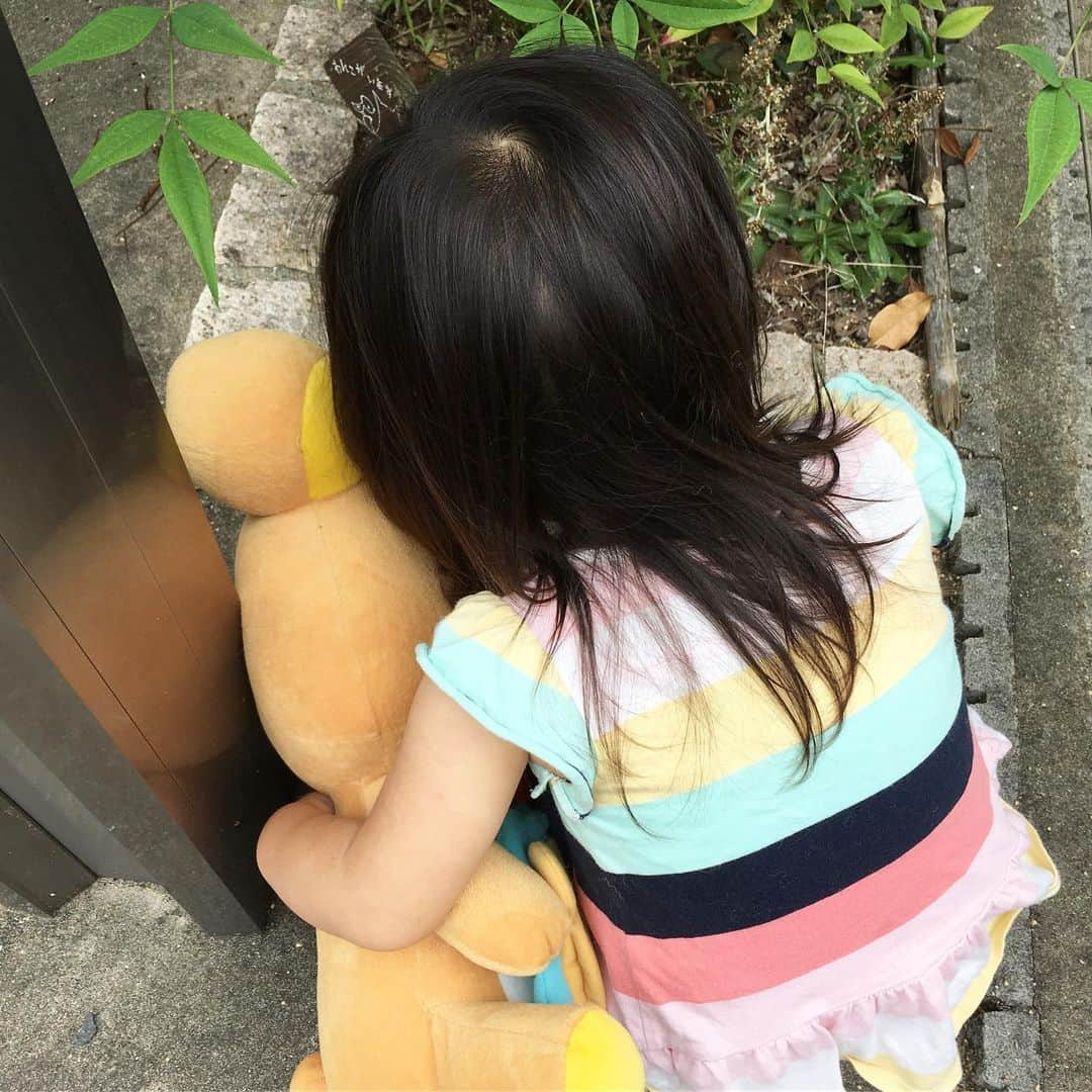 ゆもこさんのインスタグラム写真 - (ゆもこInstagram)「「ひよりと遊べるよーになってきたよ！」 チビちゃん2歳2ヶ月になりました😊 最近は、イヤイヤ→あれ？今日はマシ？→凄じいイヤイヤ→あれ？… を繰り返す日々です🤪 振り幅がすごすぎてついて行けません😂 それでも、「少し待っててね」や「帰ったらね」を理解したり、赤ちゃんを見ると可愛がろうとしたり、お手伝いをしてくれたりと心の成長に驚きます☺️ ★★★チビちゃん2歳1ヶ月の記録★★★ ❤︎名前は？と聞くと答えてくれます ❤︎何歳ですか？と聞くと「いっしゃいです！」 ❤︎2歳ですでにサバを読む ❤︎ピースができるようになりました ❤︎歌のレパートリーが増えまくり ❤︎タオルを見ると畳みたい！崩して畳むまでワンセット ❤︎イヤイヤしだすと近くの物を投げます ❤︎怒られるのを分かってやります ❤︎お願い、ちょーだい、などオネダリ上手 ❤︎「いっぱーい」が好きで、何でも周りに集めたがります ❤︎服を選び始めました ❤︎寝るときに布団を掛けてくれます ❤︎絵本を1人で読みます ❤︎「これは？」と指差し確認 な1ヶ月でした😊 ひよりを追いかけ、怒られ、喧嘩して泣かされ、一緒に遊ぶ姿は本当に姉妹のようです🐶🧒 こんな光景がずっと続くといいな〜と思う母でした😊 ※ ※ ※ #dogsofinstagram #日本犬 #柴犬 #柴 #赤柴 #shiba #犬バカ部 #ふわもこ部 #柴犬マニア #しば #shibadog #sibainu #ひより日和 #柴女子 #shibagram #shibastagram #いぬら部 #柴犬ひより #pecoいぬ部 #いぬのきもち #チビちゃんとひよさん #2歳2ヶ月 #イヤイヤ期 #チビちゃんの成長記録」7月11日 16時40分 - yumohiyo