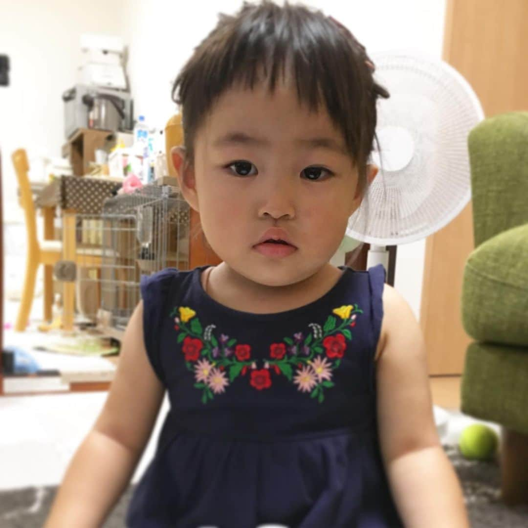 ゆもこさんのインスタグラム写真 - (ゆもこInstagram)「「ひよりと遊べるよーになってきたよ！」 チビちゃん2歳2ヶ月になりました😊 最近は、イヤイヤ→あれ？今日はマシ？→凄じいイヤイヤ→あれ？… を繰り返す日々です🤪 振り幅がすごすぎてついて行けません😂 それでも、「少し待っててね」や「帰ったらね」を理解したり、赤ちゃんを見ると可愛がろうとしたり、お手伝いをしてくれたりと心の成長に驚きます☺️ ★★★チビちゃん2歳1ヶ月の記録★★★ ❤︎名前は？と聞くと答えてくれます ❤︎何歳ですか？と聞くと「いっしゃいです！」 ❤︎2歳ですでにサバを読む ❤︎ピースができるようになりました ❤︎歌のレパートリーが増えまくり ❤︎タオルを見ると畳みたい！崩して畳むまでワンセット ❤︎イヤイヤしだすと近くの物を投げます ❤︎怒られるのを分かってやります ❤︎お願い、ちょーだい、などオネダリ上手 ❤︎「いっぱーい」が好きで、何でも周りに集めたがります ❤︎服を選び始めました ❤︎寝るときに布団を掛けてくれます ❤︎絵本を1人で読みます ❤︎「これは？」と指差し確認 な1ヶ月でした😊 ひよりを追いかけ、怒られ、喧嘩して泣かされ、一緒に遊ぶ姿は本当に姉妹のようです🐶🧒 こんな光景がずっと続くといいな〜と思う母でした😊 ※ ※ ※ #dogsofinstagram #日本犬 #柴犬 #柴 #赤柴 #shiba #犬バカ部 #ふわもこ部 #柴犬マニア #しば #shibadog #sibainu #ひより日和 #柴女子 #shibagram #shibastagram #いぬら部 #柴犬ひより #pecoいぬ部 #いぬのきもち #チビちゃんとひよさん #2歳2ヶ月 #イヤイヤ期 #チビちゃんの成長記録」7月11日 16時40分 - yumohiyo