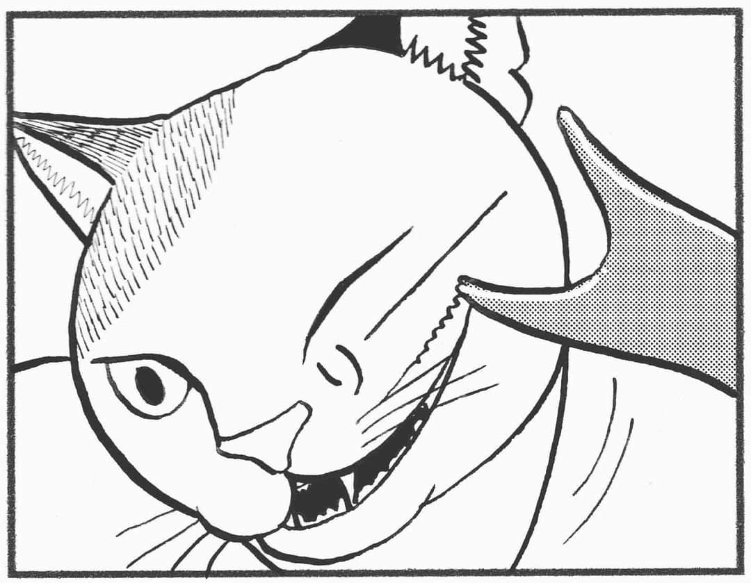 相原コージさんのインスタグラム写真 - (相原コージInstagram)「『こびとねこ』ついに明日12日発売！その1部分10コマを載せます。買ってね〜。 #こびとねこ #ねこ漫画 #ねこ  #こびと #カブトムシ #まんが  #小小猫 #thumbcat  #manga #comic #beatle」7月11日 18時03分 - kojiaihara