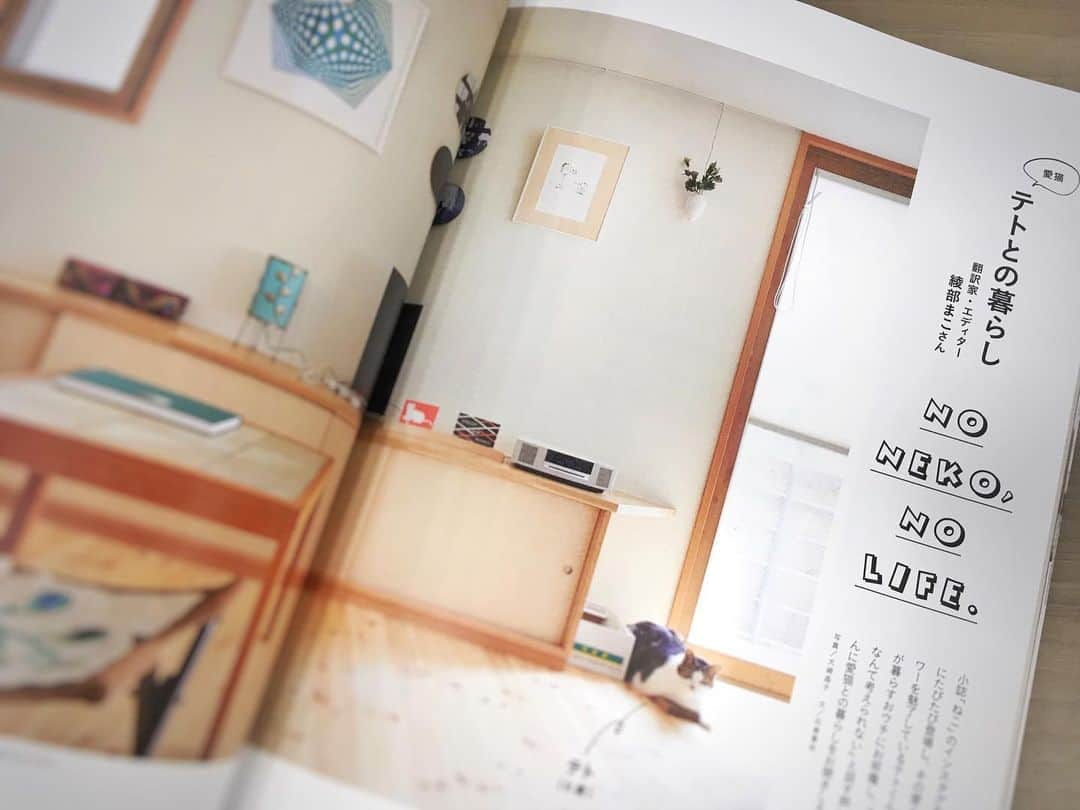 ねこさんのインスタグラム写真 - (ねこInstagram)「明日発売の雑誌「ねこ 111号」では、このインスタでもたびたび登場してくれるテトくんの暮らしが掲載されてるよ〜✋🏻😆❣️ とってもおしゃれなお家で伸び伸び暮らすテトくん😻羨ましいぞっ❣️✨よく食べ、よく寝て、よく甘えるテトくん😚もっともっとテトくんのことが好きになる素敵なページになってます📚是非読んでみてくださいね♫ #neko_magazine #ねこ #猫 #ネコ #catstagram #cat #ねこマガジン #NEKONOBA #宮野真守 #マモ」7月11日 18時17分 - neko_magazine