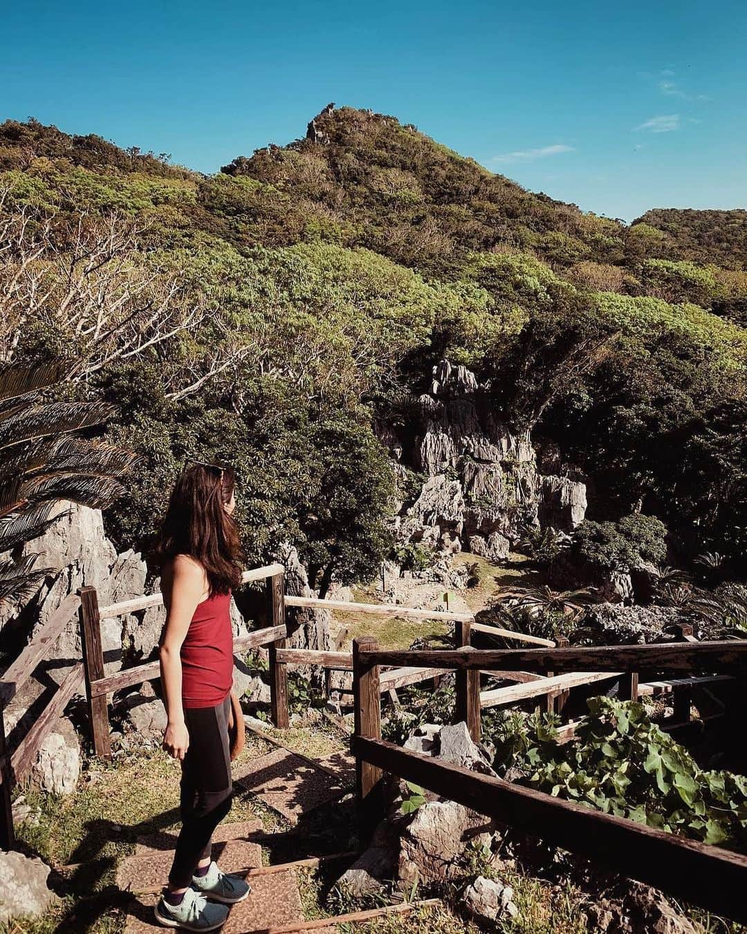 Be.okinawaさんのインスタグラム写真 - (Be.okinawaInstagram)「What an incredible hike! These rocky peaks of this national park were formed by limestone layer elevation 250 million years ago. 📷:@_kathyldn  #kunigami #daisekirinzan #國頭 #大石林山 #구니가미 #다이세키린잔 #国頭 #やんばる #trekking #nature #beokinawa #visitokinawa」7月11日 18時36分 - visitokinawajapan