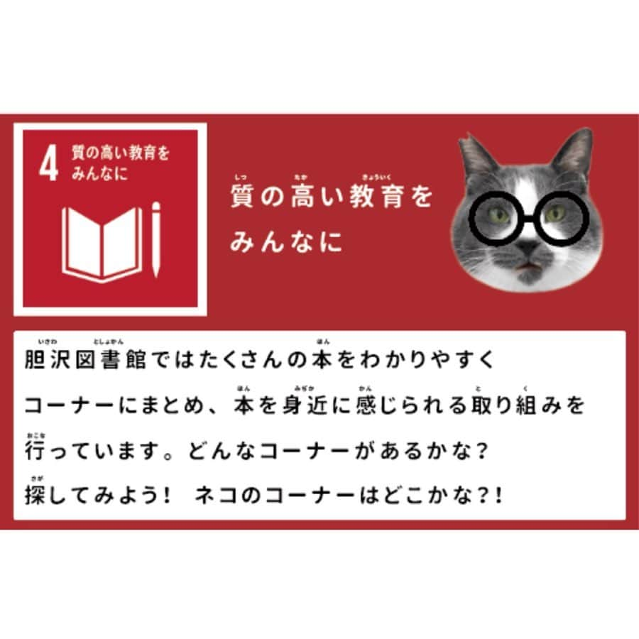 くまおさんのインスタグラム写真 - (くまおInstagram)「. ⛰で育ったので視力には自信ある くまお先生👓。 . 3枚目は１月に岩手の猫ノ図書館で使用した くまお先生👓イメージ画像🐻 @neconotoshokan . 業務連絡: 昨日くまおにいただいたメガネ くまおの顔が入るか？問題ありましたが… サイズは問題なさそう😎✨ . #くまお #ネコもSDGs」7月11日 18時44分 - kumaokamako