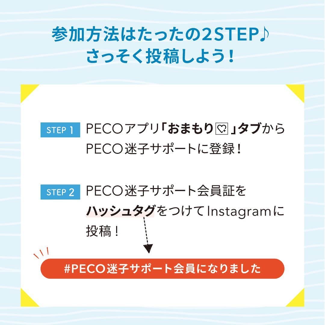 PECOねこ部さんのインスタグラム写真 - (PECOねこ部Instagram)「PECOねこ部🐱みんなで迷子対策をしよう✨ 『#PECO迷子サポート会員になりました』Instagramキャンペーンを開催します。 ハッシュタグをつけて、PECO迷子サポートの会員証をInstagramに投稿すると、 あなたの愛猫がPECO迷子サポート会員として、PECOの記事で紹介されちゃうかも！  さらに当選者さんには、とってもスペシャル!! 夏限定会員証(デジタル)を掲載させていただきます☺  PECO迷子サポートとは...？ PECO迷子サポートは、日本からペットの迷子をなくしたい！という思いから、生まれました。 日本では年間約10万頭のペットの迷子が保護されており、そのうち約5万頭はお家に帰れないという、とても悲しい事実があります。  迷子になったペットの捜索をプロに依頼すると、発見率が80%以上！でも、捜索費用は7～10万円と、高額です。 PECO迷子サポートの会員には、この捜索費用を無料で提供しています。 登録費用も月額費用も無料。PECOのアプリから会員登録するだけ。  可愛い愛猫が辛い思いをしないためにも、うちの迷子対策、始めませんか？  #ペコねこ部 #まいごのおまもり #PECO迷子サポート #PECO迷子サポート会員になりました #迷子対策 . 【応募期間】 2019/7/8～2019/7/31 23:59 【応募方法】 ①PECOアプリから、PECO迷子サポートに登録 ②PECO迷子サポート会員証をハッシュタグ『#PECO迷子サポート会員になりました』を付けて投稿 【プレゼント内容】 PECO迷子サポート会員ネコちゃんのPECO記事デビュー（３名） 投稿いただいた会員証を夏ver.にして掲載させていただきます☺ 【結果発表】 当選結果は、8月上旬（予定）公開予定のPECO記事への掲載をもってかえさせていただきます。. 【利用規約】 詳しくは本投稿のコメント欄をご確認ください↓↓」7月11日 18時59分 - pecocats