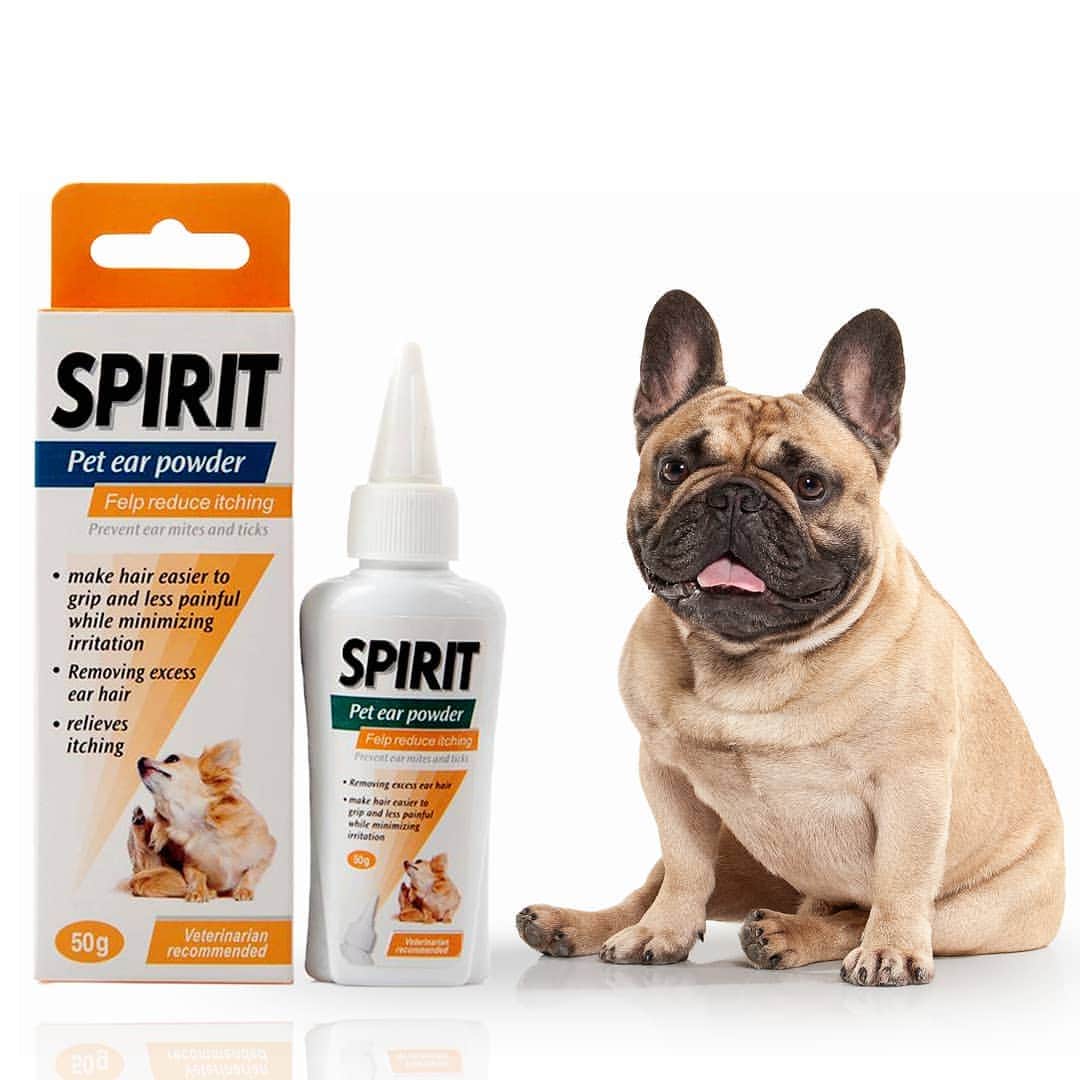 French Bulldogさんのインスタグラム写真 - (French BulldogInstagram)「Spirit French Bulldog Ear Cleaner™ ❤ Quick Relief For Itchy, Smelly & Waxy Ears ❤ Check the LINK IN OUR BIO 🔝🔝🔝 . . . . . #frenchie #frenchieoftheday#französischebulldogge#franskbulldog #frenchbull#fransebulldog #frenchbulldog#frenchiepuppy #dog#dogsofinstagram #petstagram#puppy #puppylove #bully#bulldog #bullyinstafeature#bulldogfrances #フレンチブルドッグ #フレンチブルドッグ #フレブル #frenchyfanatics#frenchiesgram#frenchbulldogsofinstagram#frenchiesoverload#ilovemyfrenchie #batpig #buhi#buhigram #buhistagram」7月11日 19時04分 - frenchie.world