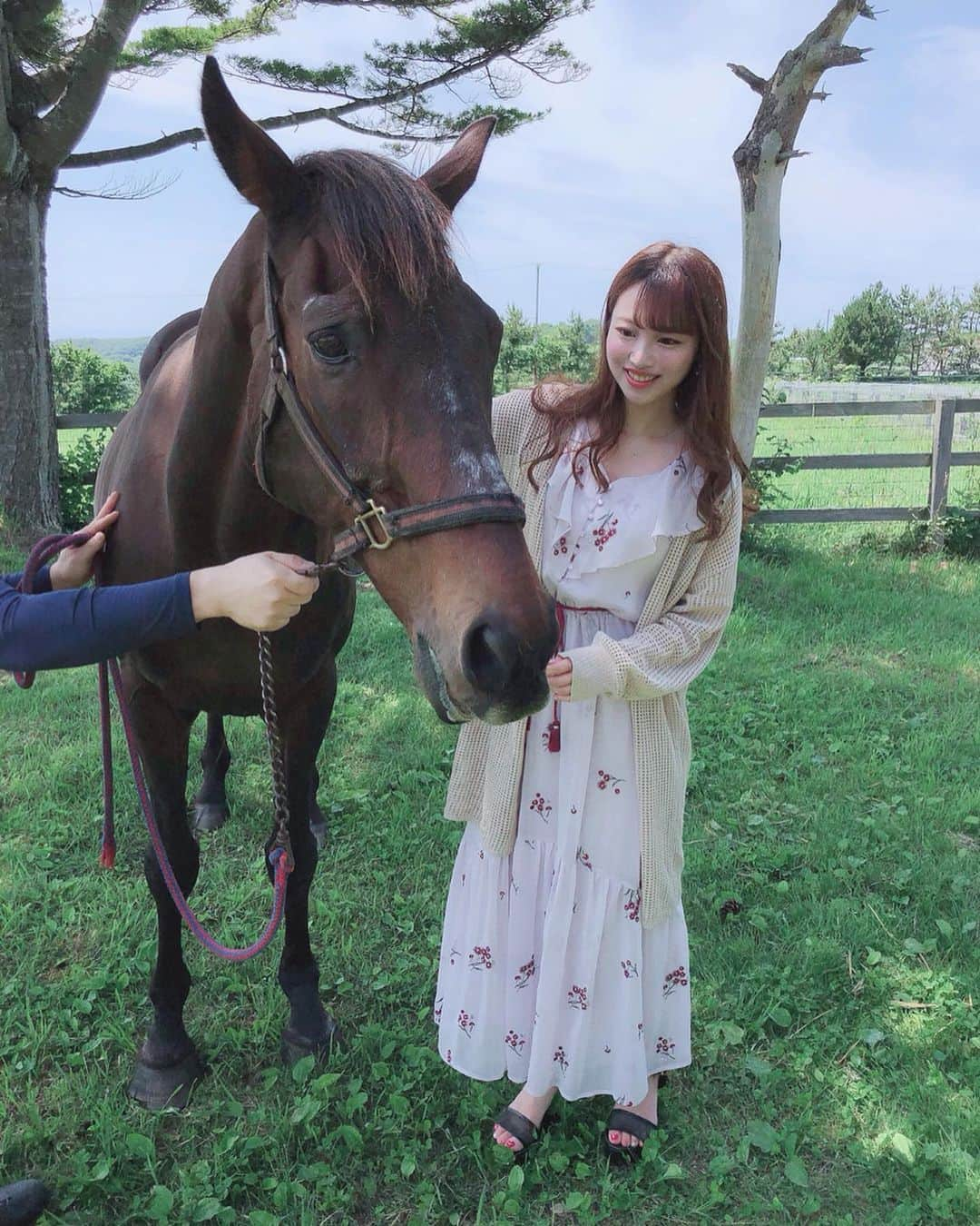 清里千聖さんのインスタグラム写真 - (清里千聖Instagram)「. 家族でパワーをもらいにいってきた🌟. ユウセンショウ🐴💕人間だともう108歳くらい..。 まったり過ごしてね😌💕. #北海道 #大地の恵み #サラブレッド #競走馬 #日高 #タイヘイ牧場 #功労馬 #japan #japanesegirl #말 #옷 #rosebud #mercuryduo #코디 #여행 #가족여행 #thankyou」7月11日 19時14分 - chiseikiyosato